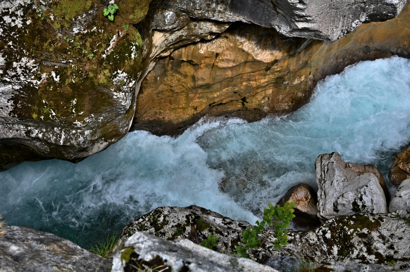 DSC_0419_00187.jpg