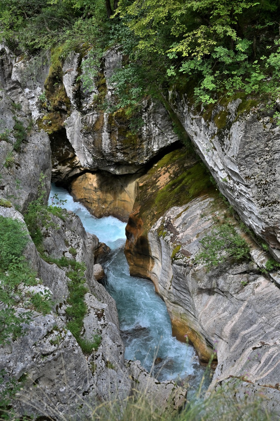 DSC_0421_00189.jpg