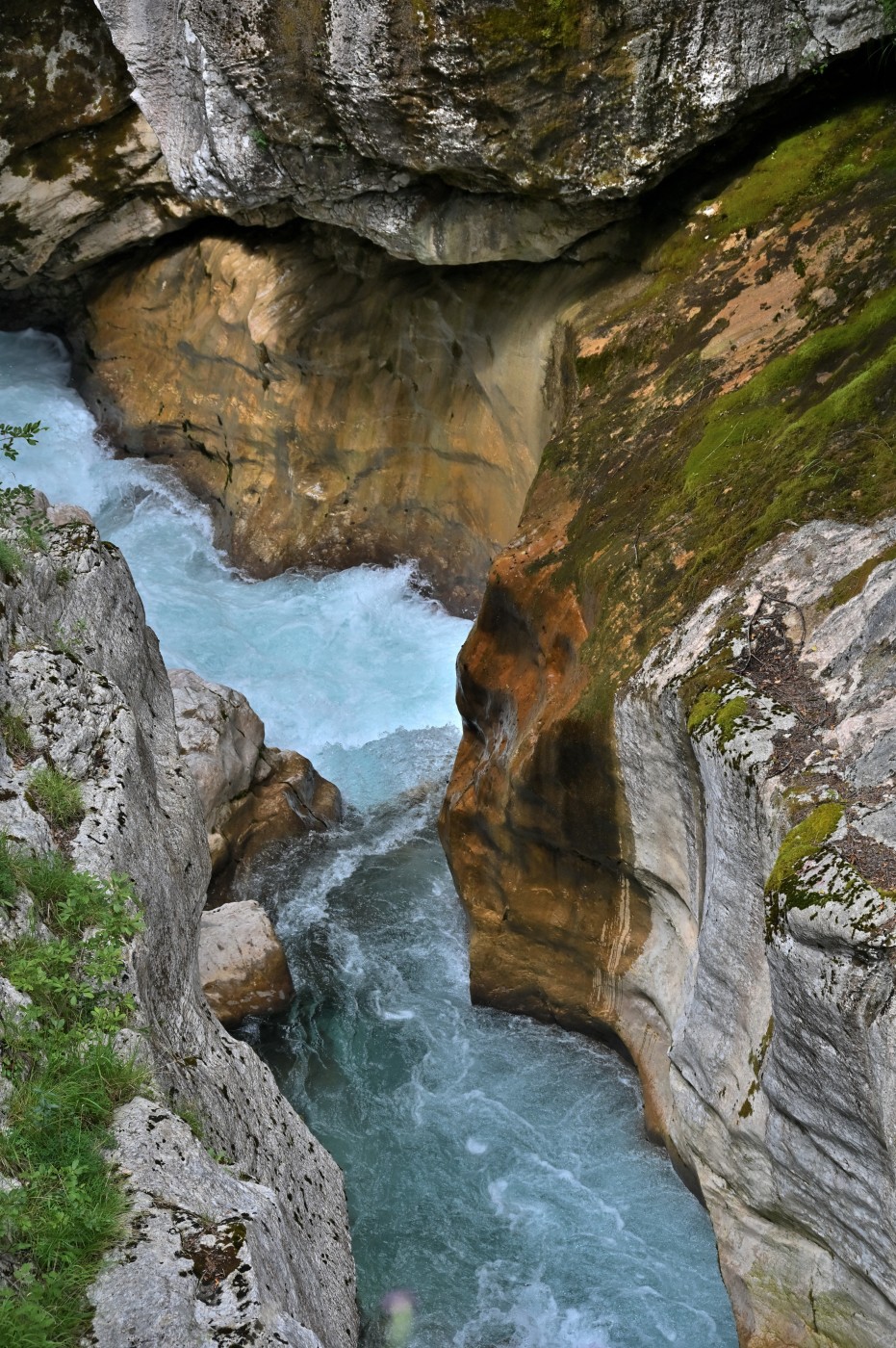 DSC_0429_00197.jpg