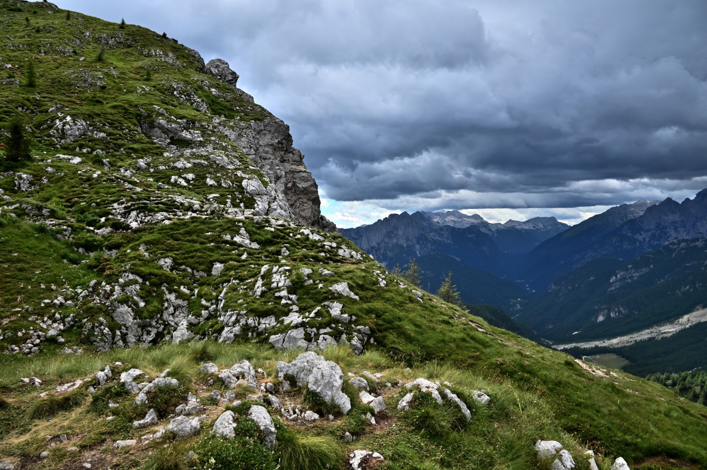 DSC_0437_00205.jpg