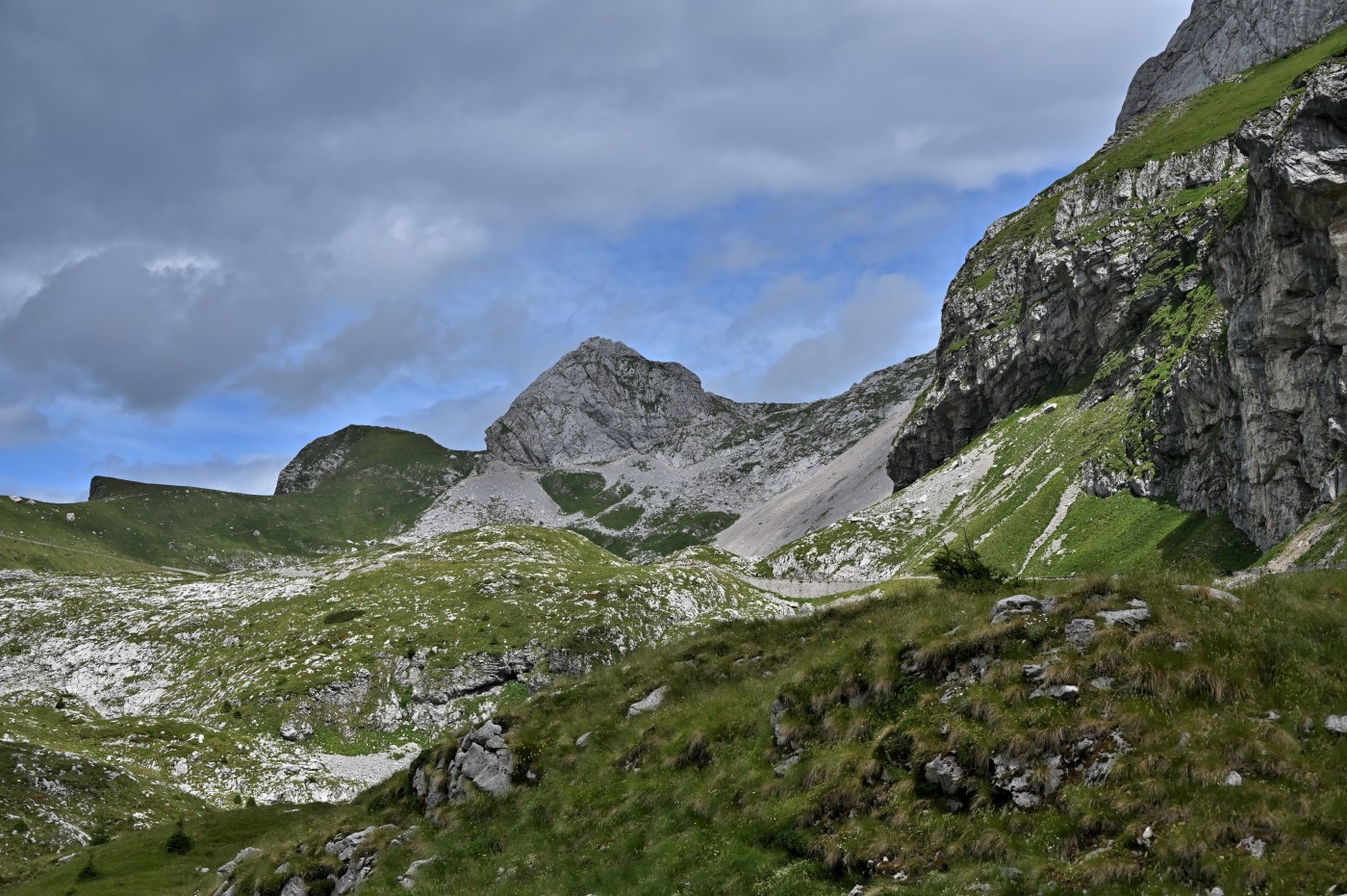 DSC_0448_00216.jpg