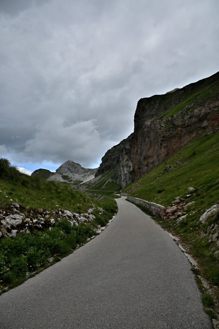 DSC_0459_00227.jpg