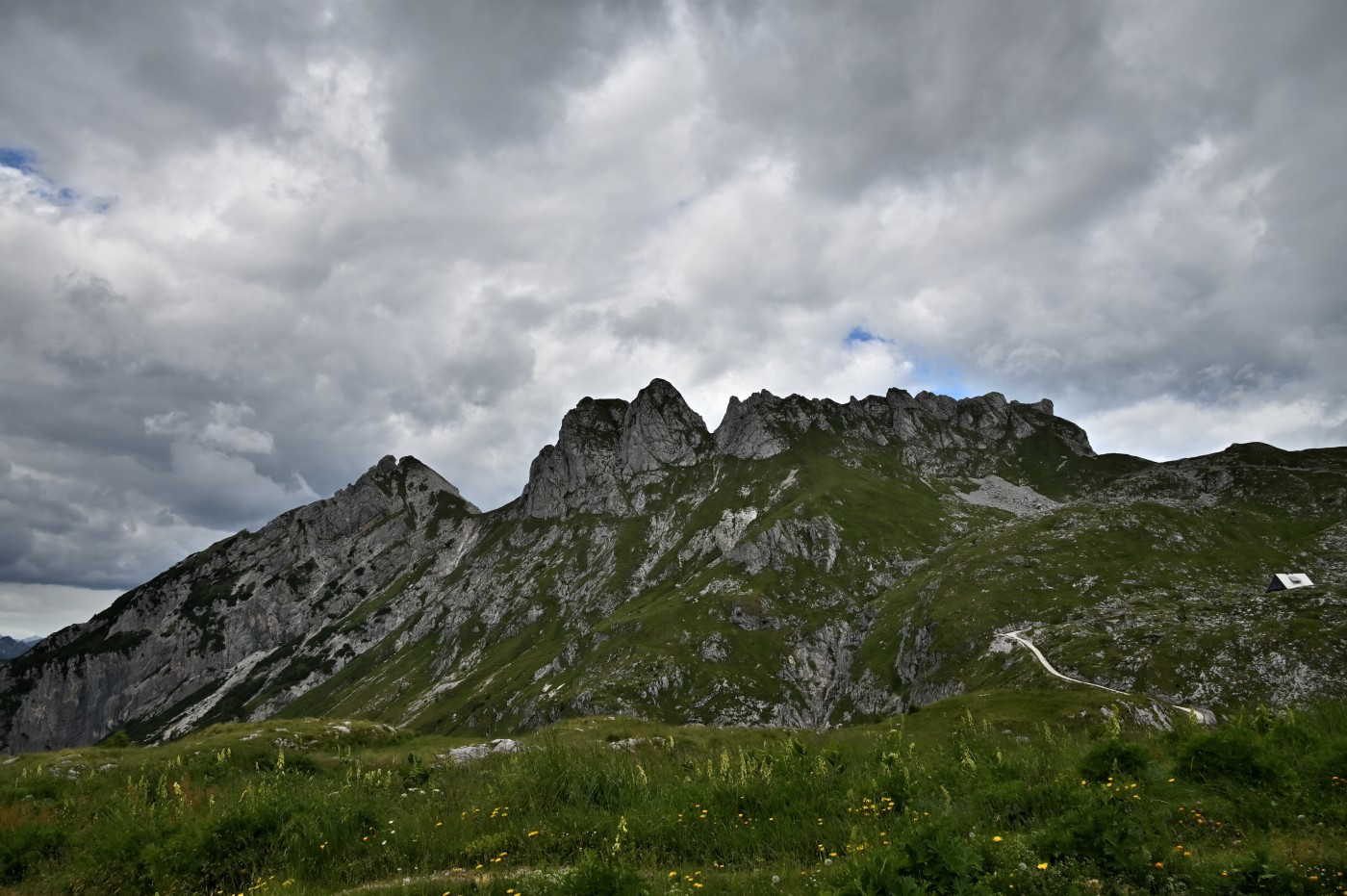 DSC_0460_00228.jpg