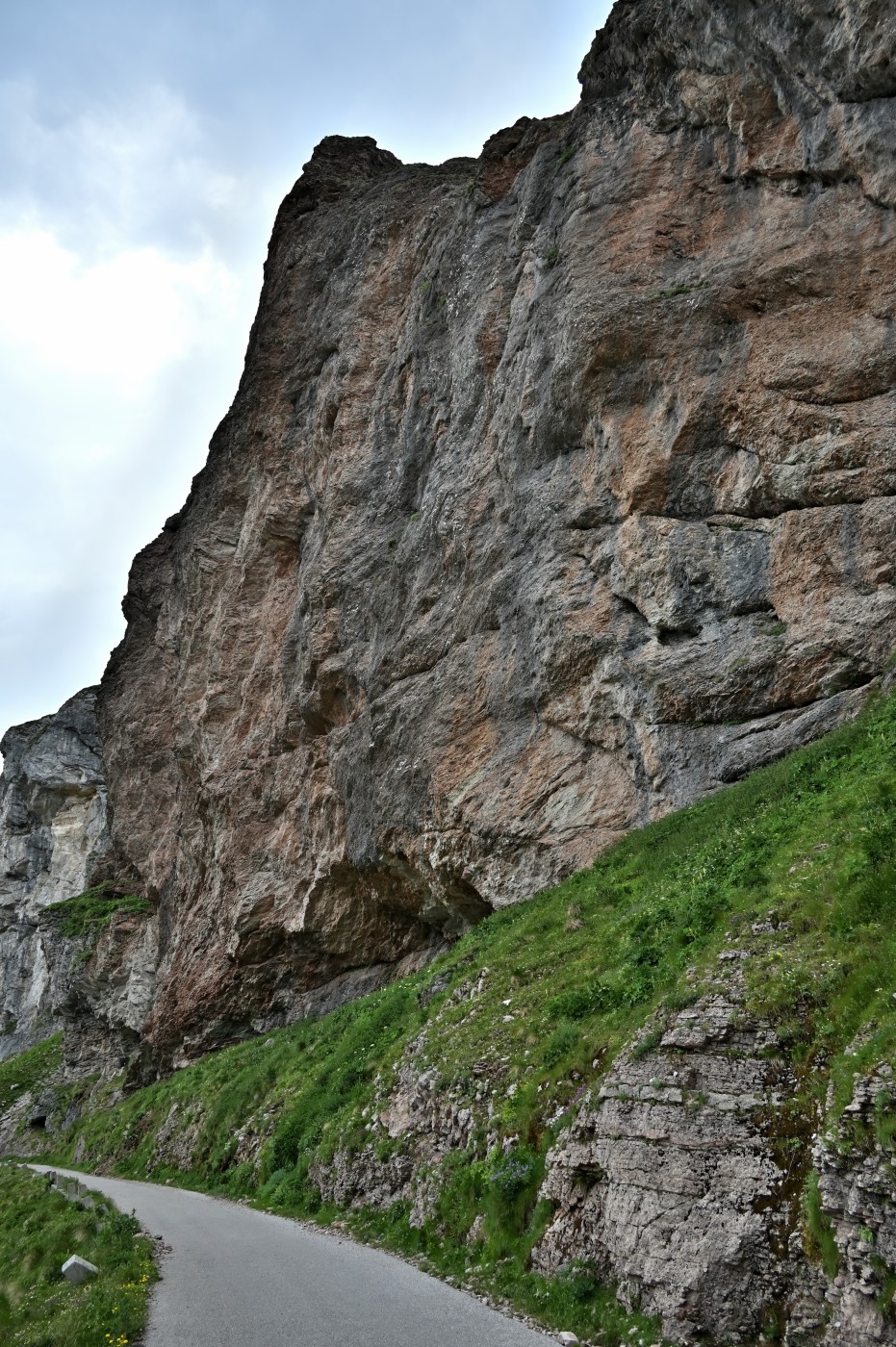DSC_0466_00234.jpg