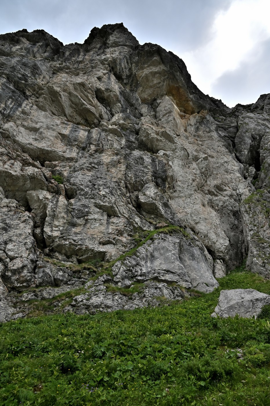 DSC_0470_00238.jpg