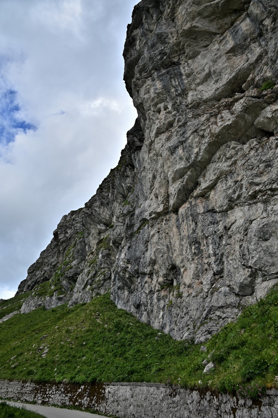 DSC_0471_00239.jpg