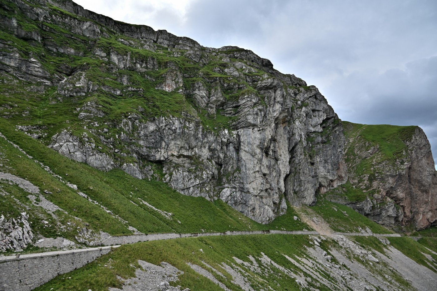 DSC_0474_00242.jpg