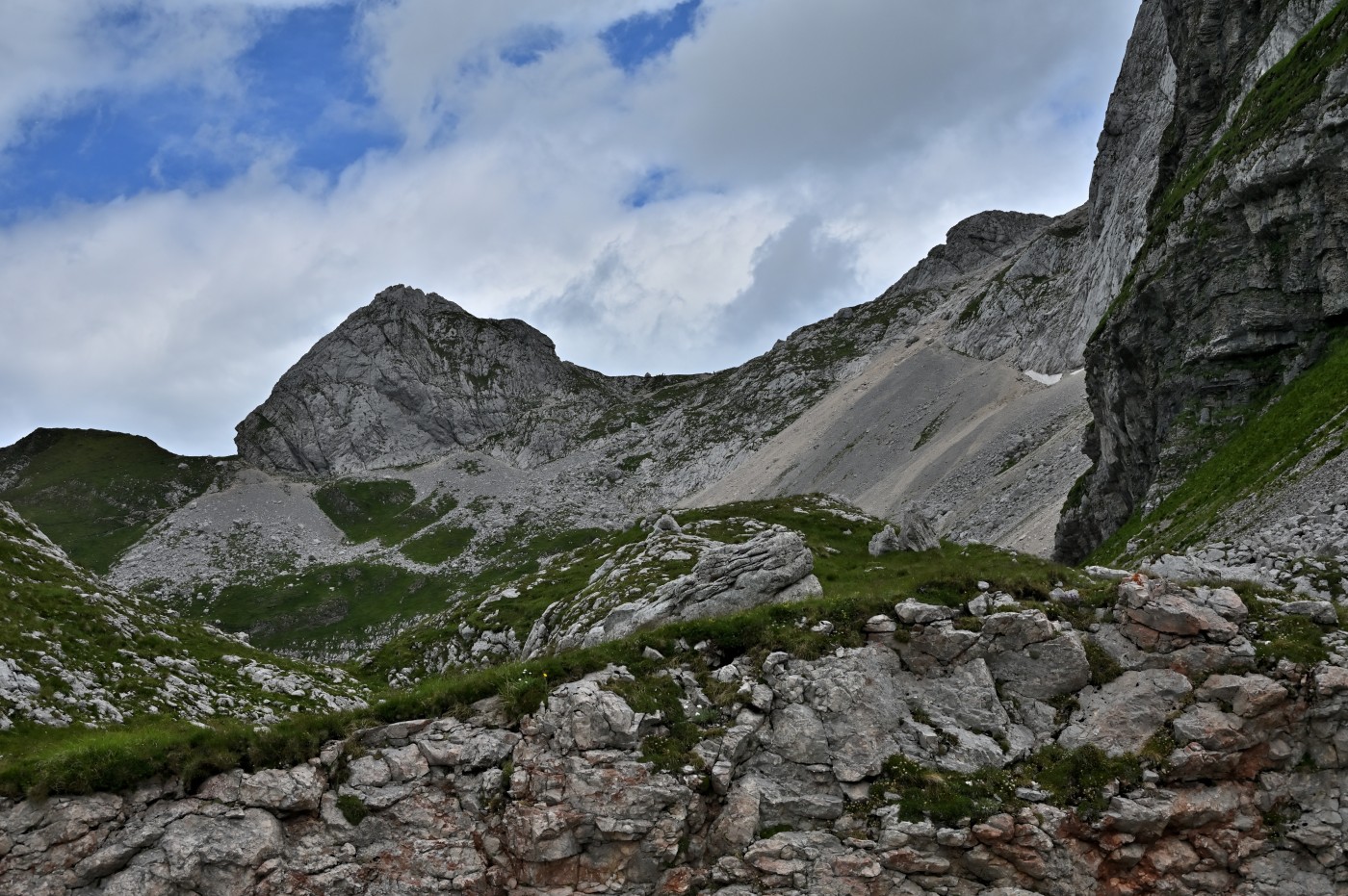 DSC_0476_00244.jpg