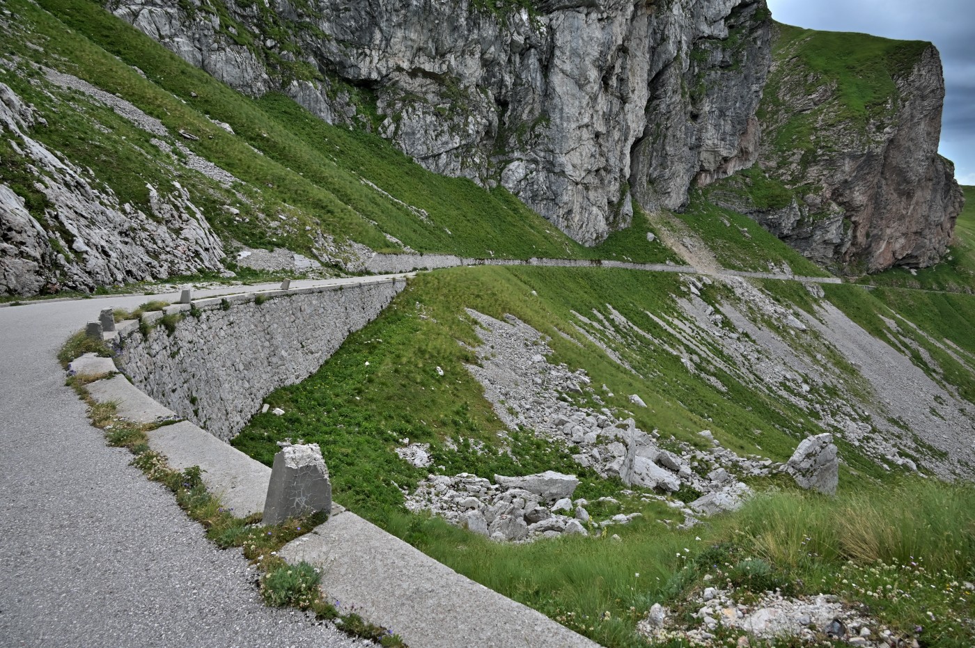 DSC_0478_00246.jpg