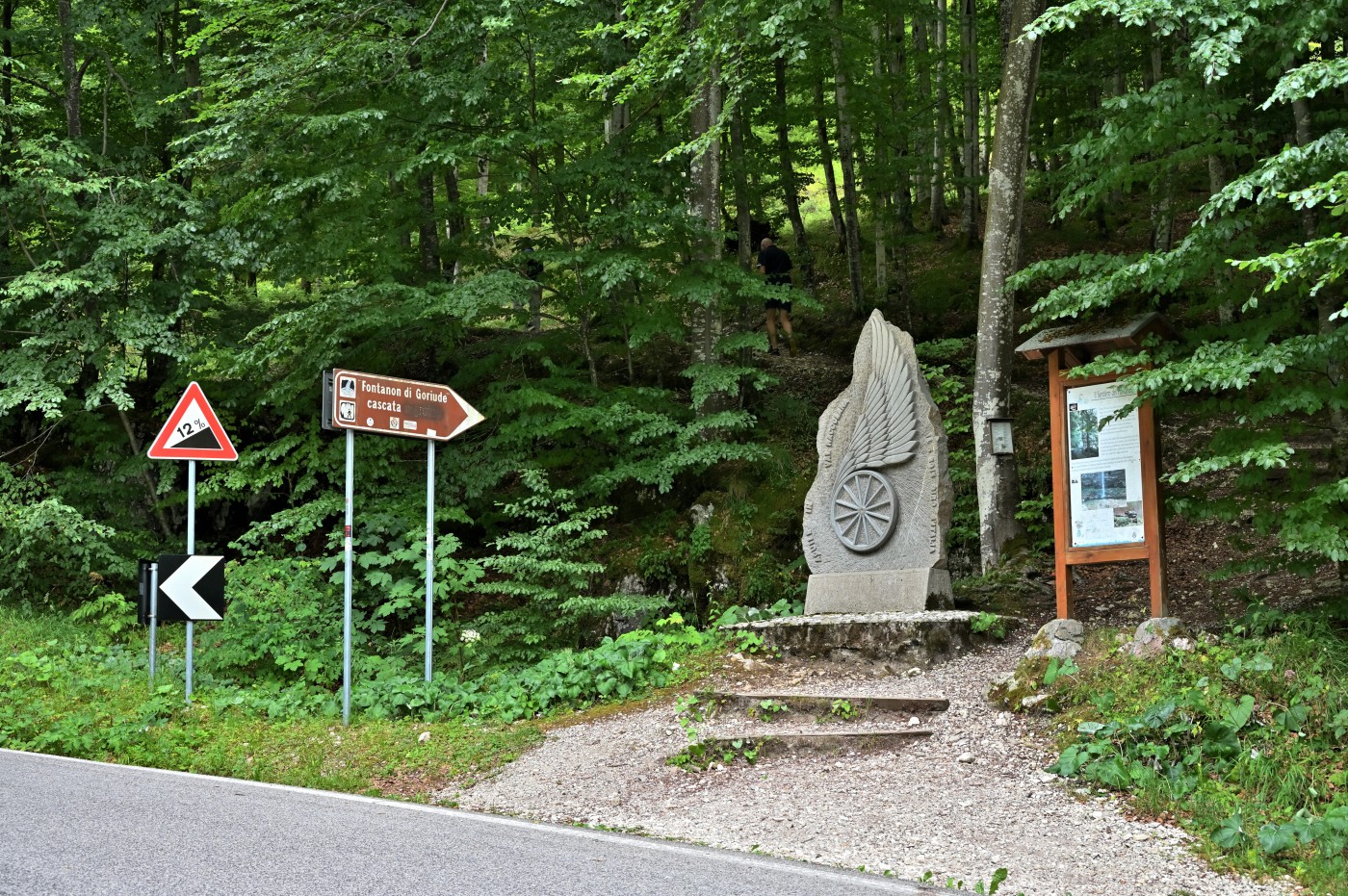 DSC_0482_00250.jpg