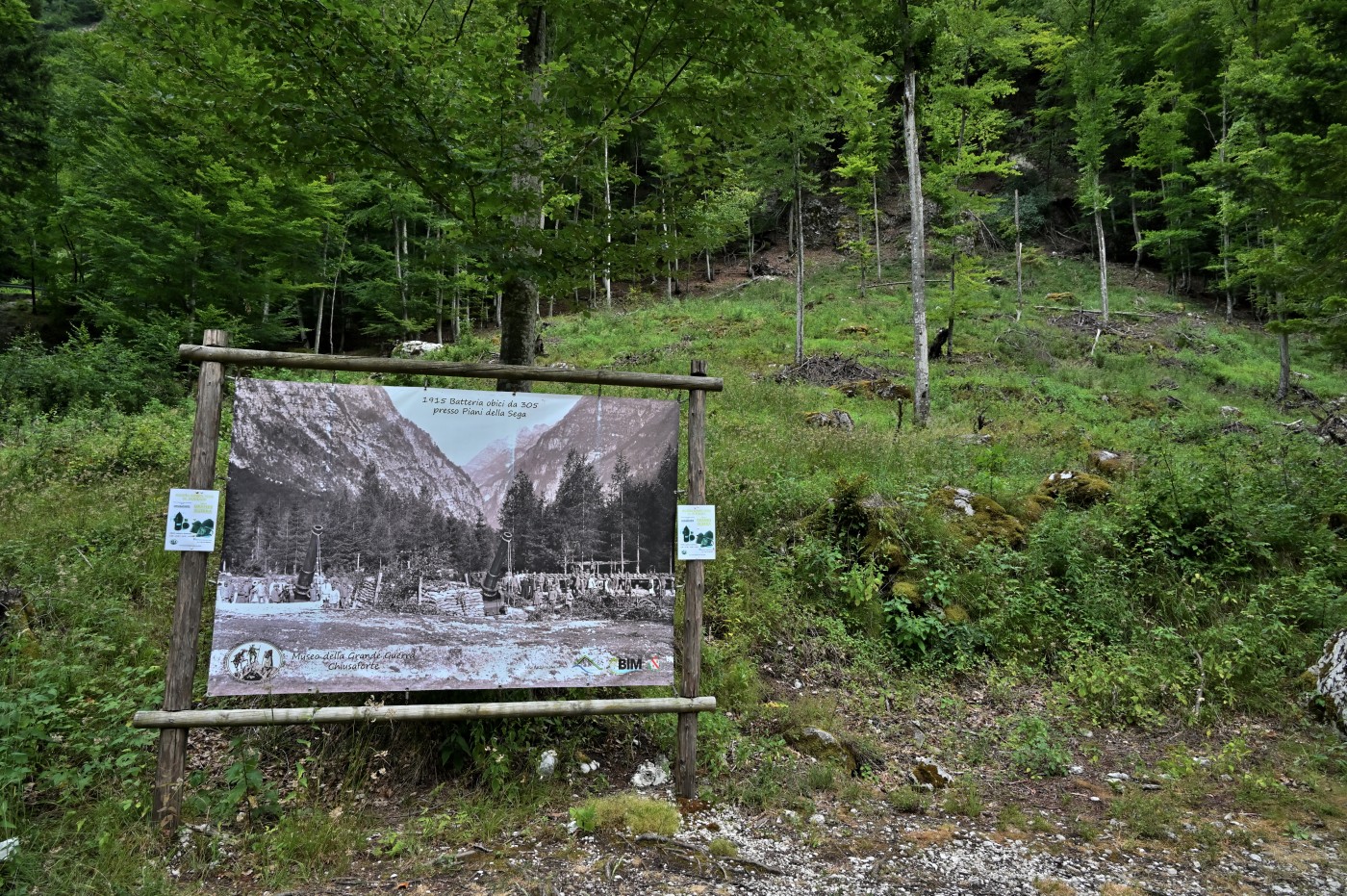 DSC_0484_00252.jpg