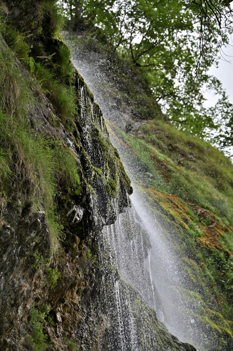 DSC_0490_00258.jpg