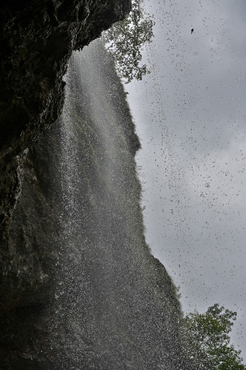 DSC_0492_00260.jpg