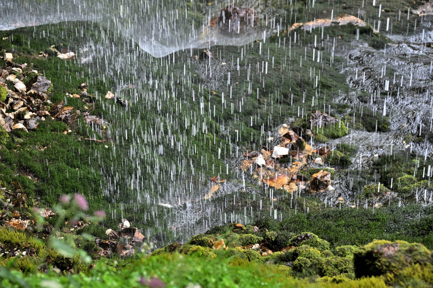 DSC_0494_00262.jpg
