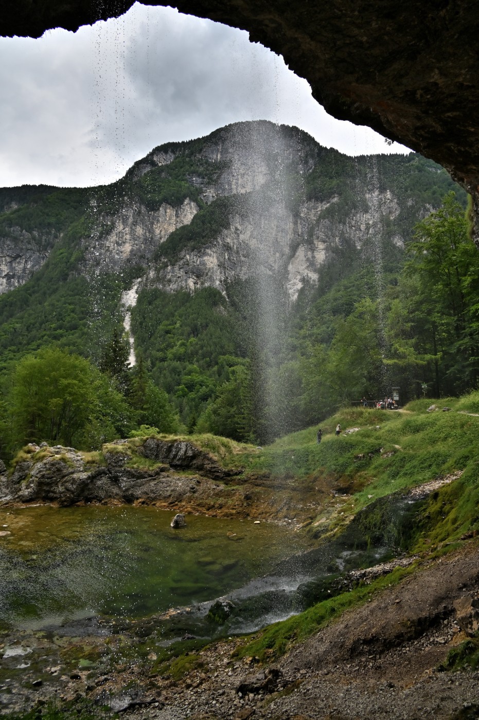 DSC_0497_00265.jpg