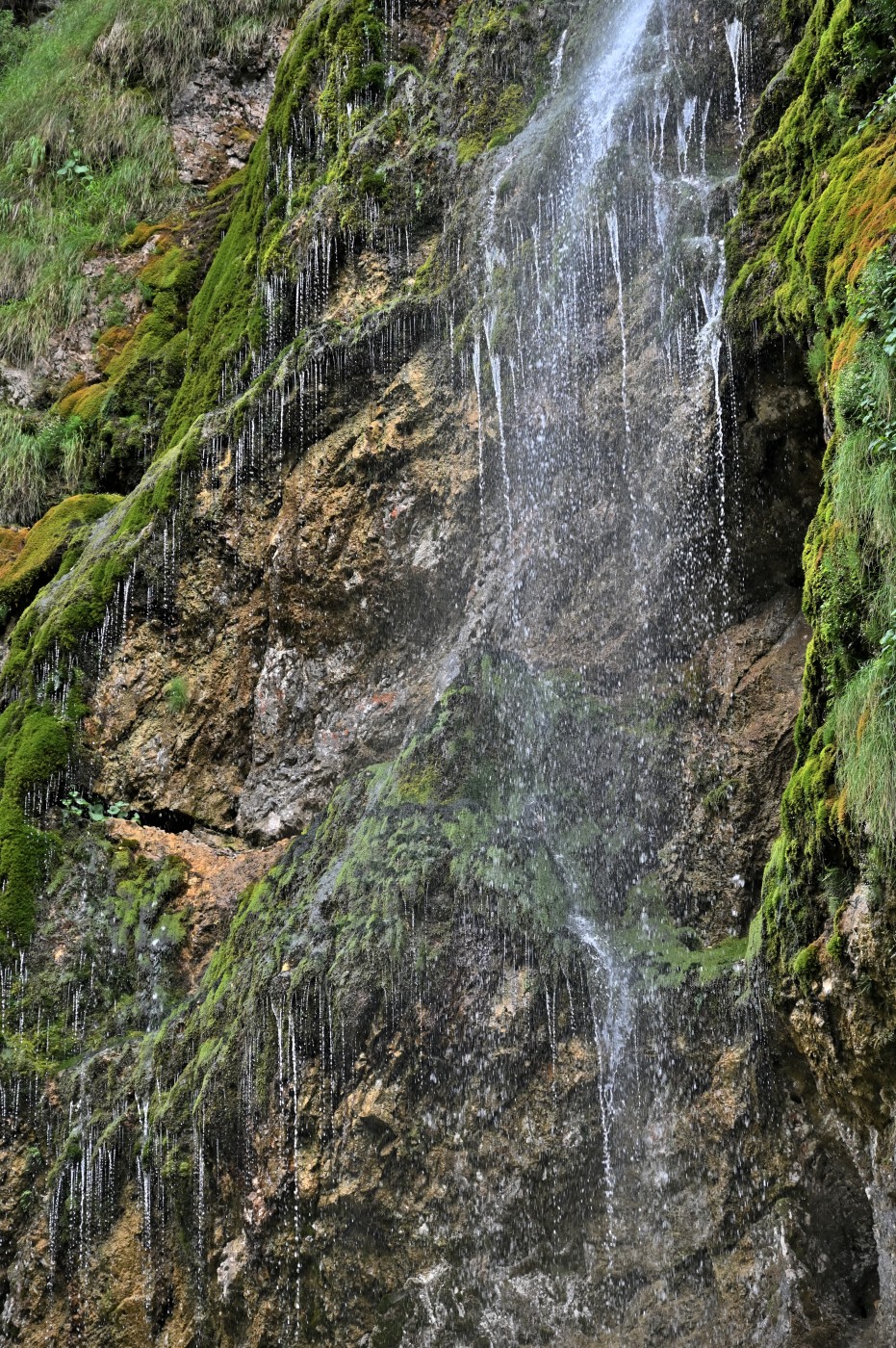 DSC_0504_00272.jpg