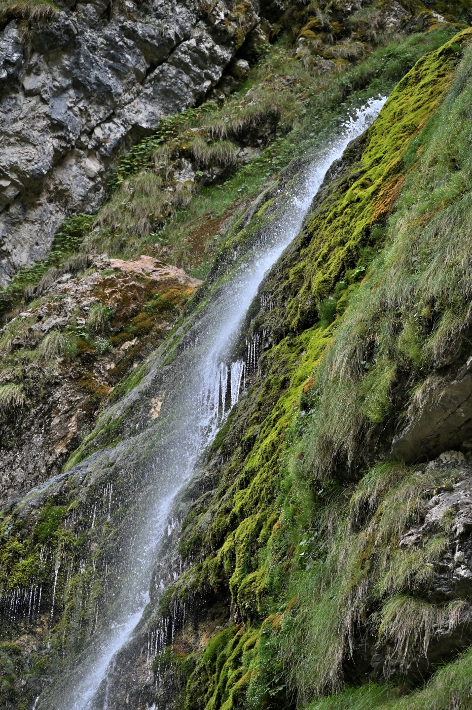 DSC_0505_00273.jpg