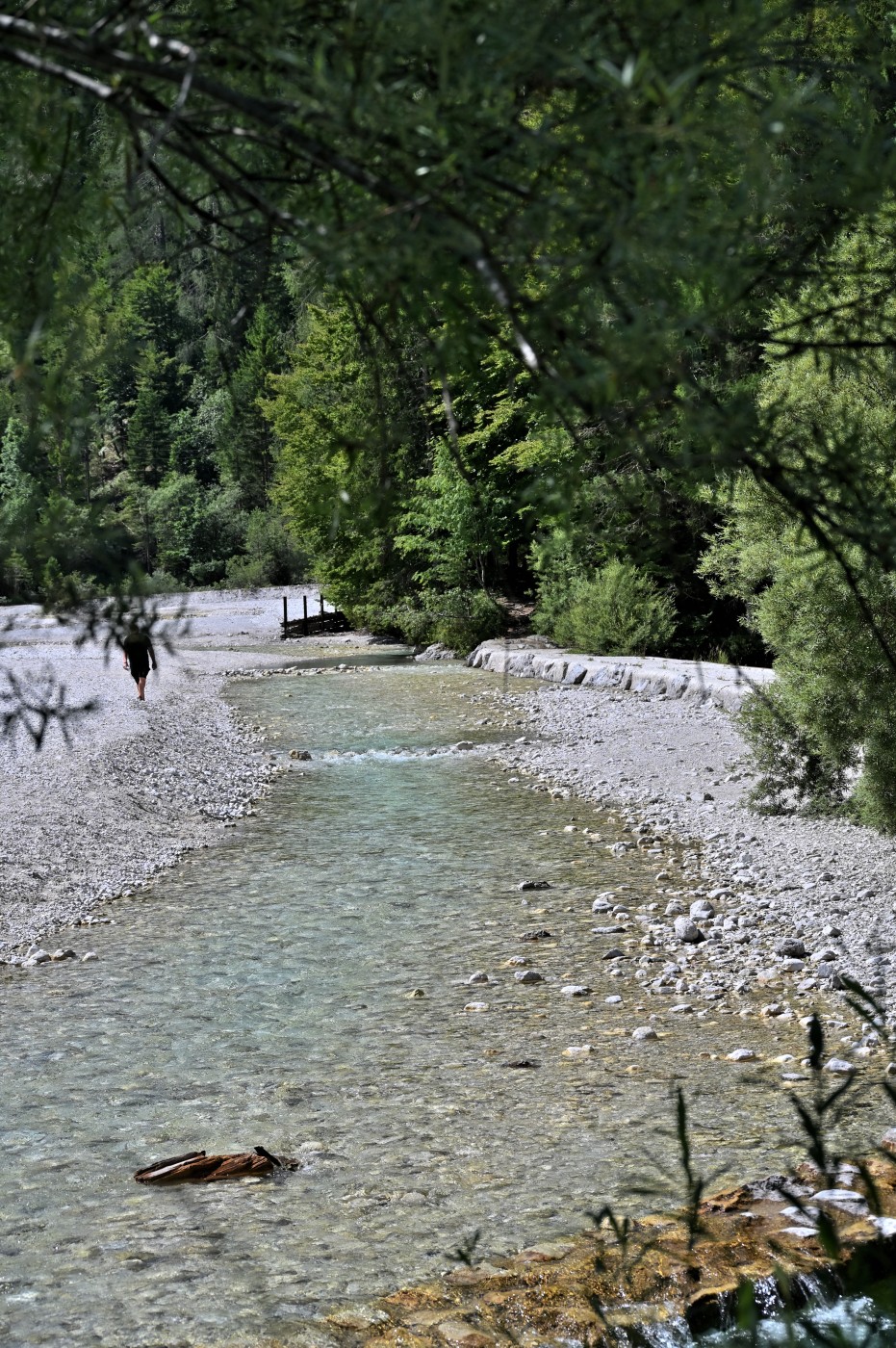 DSC_0530_00298.jpg