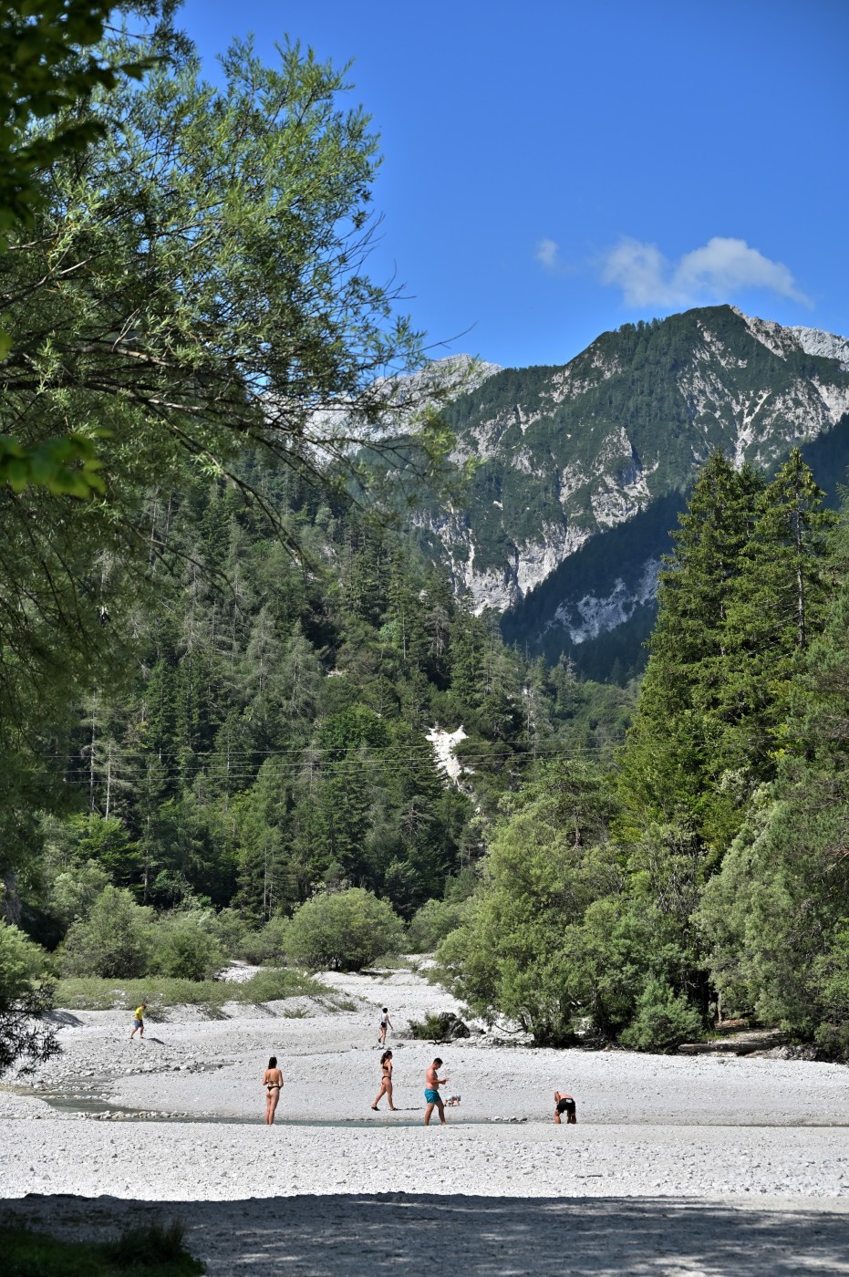 DSC_0540_00308.jpg