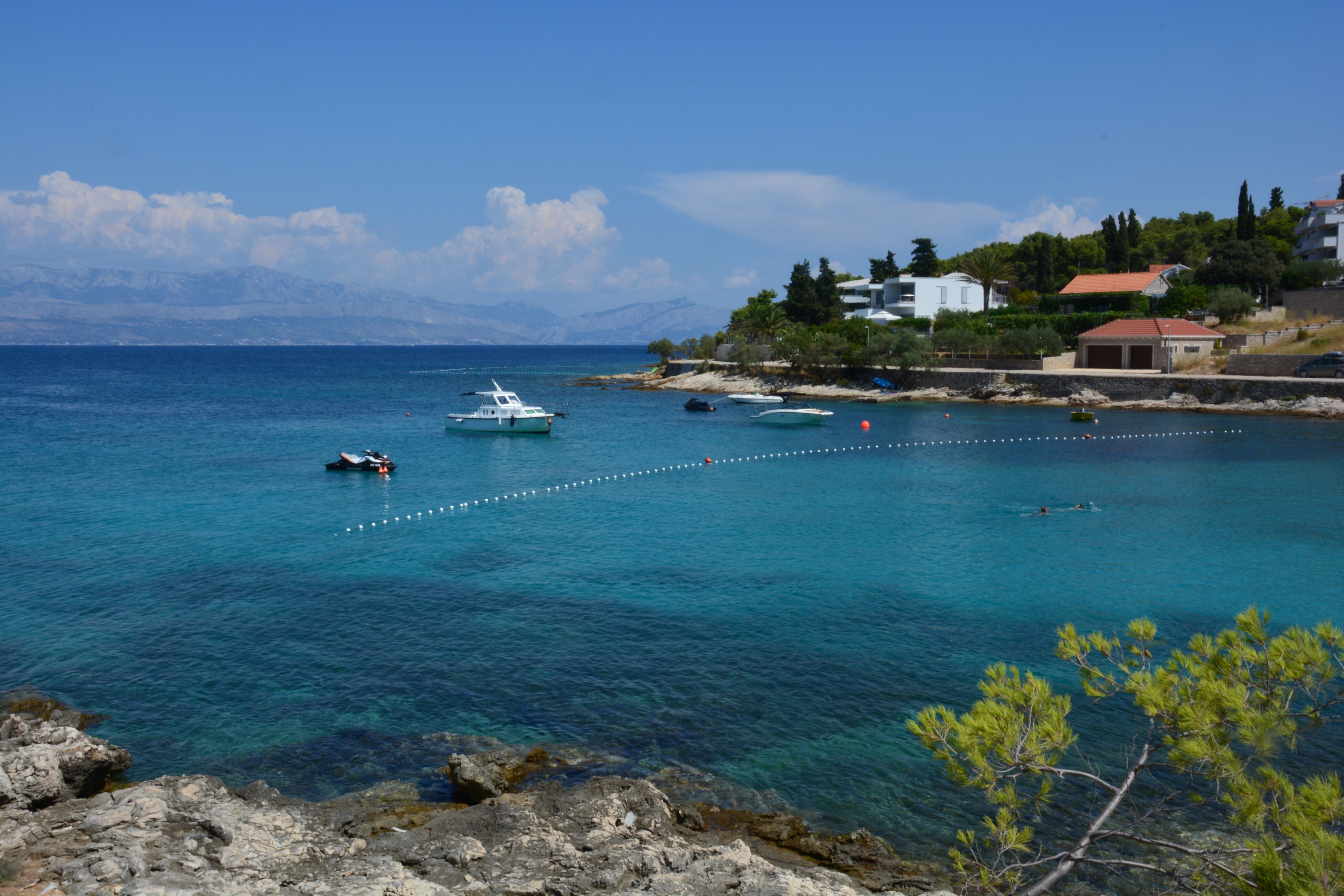 DSC_5509.JPG