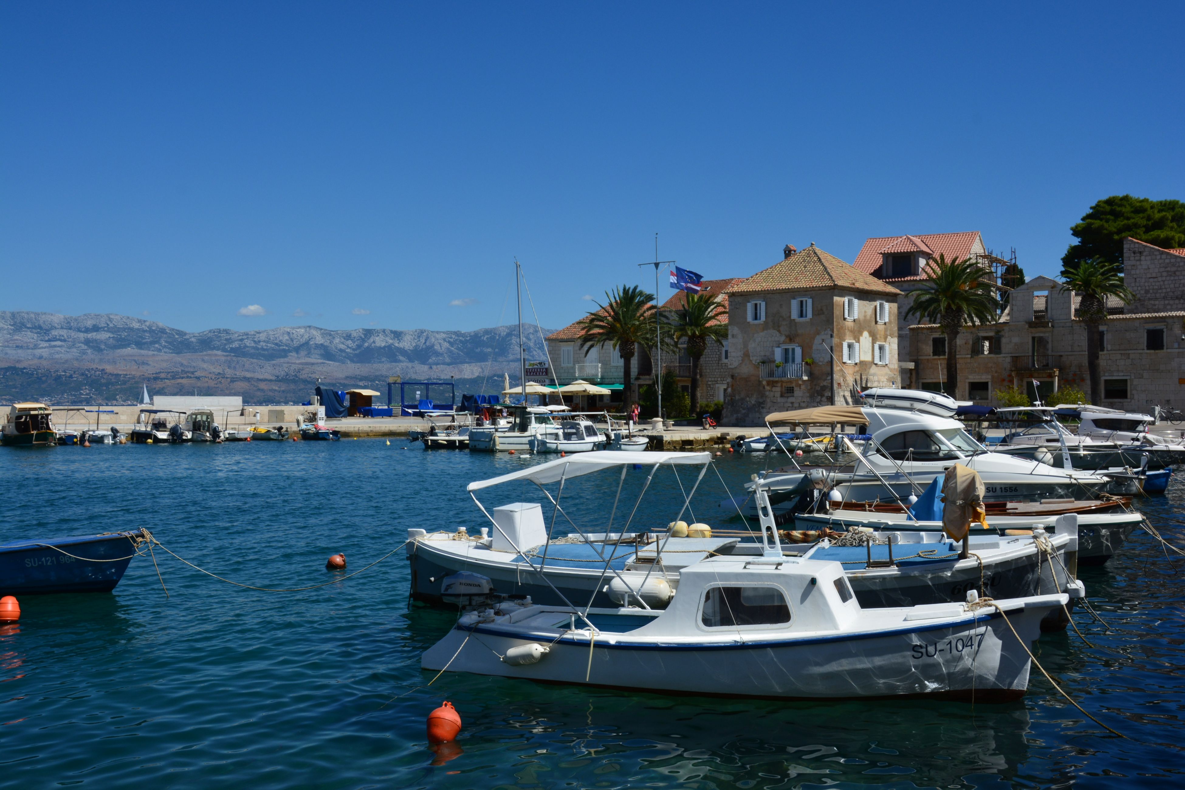 DSC_5638.JPG
