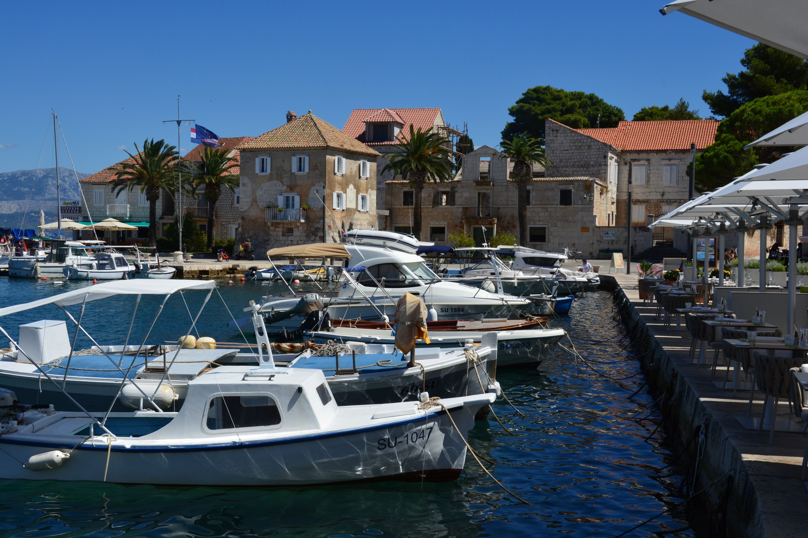 DSC_5639.JPG