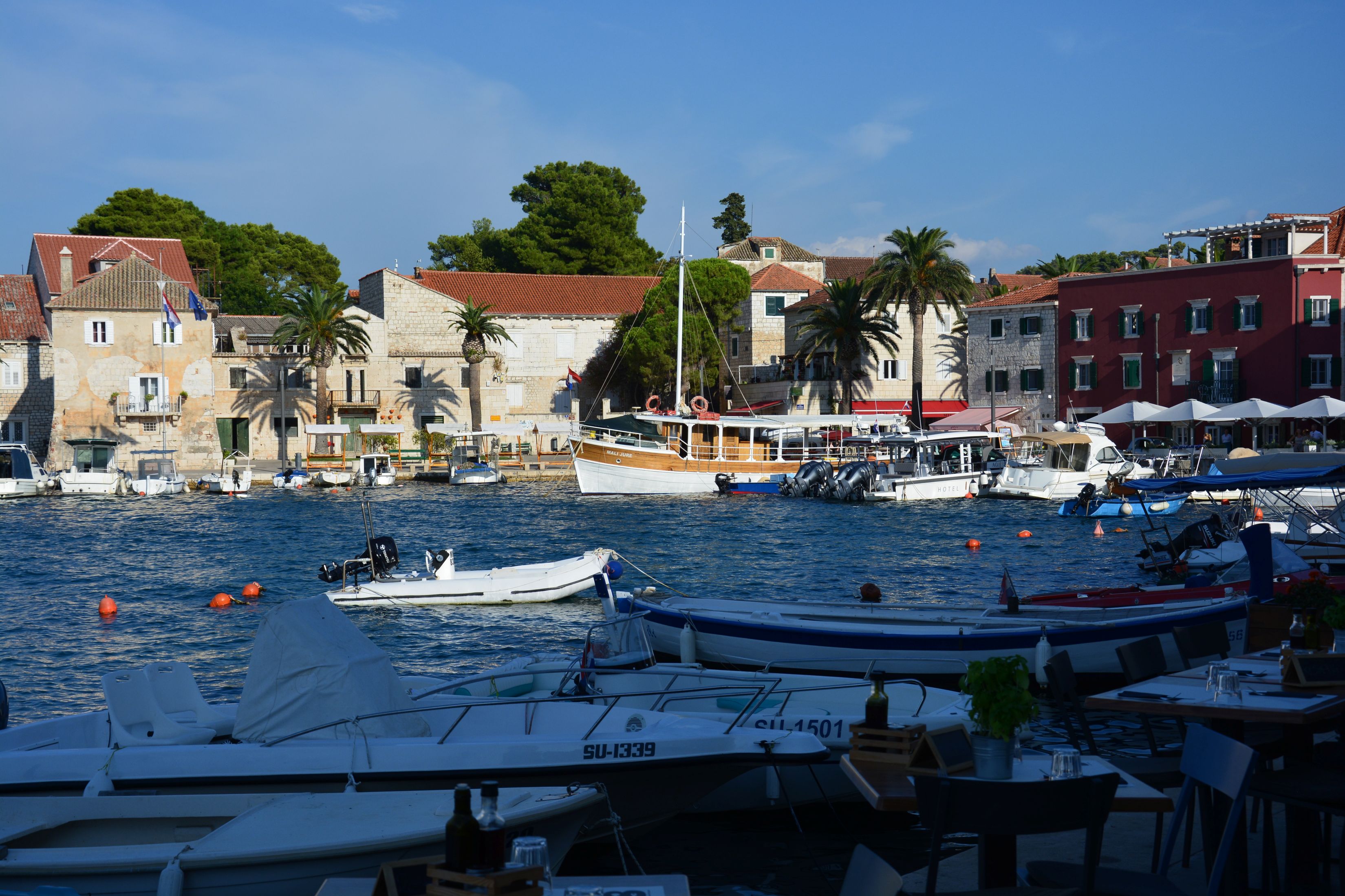 DSC_5439.JPG
