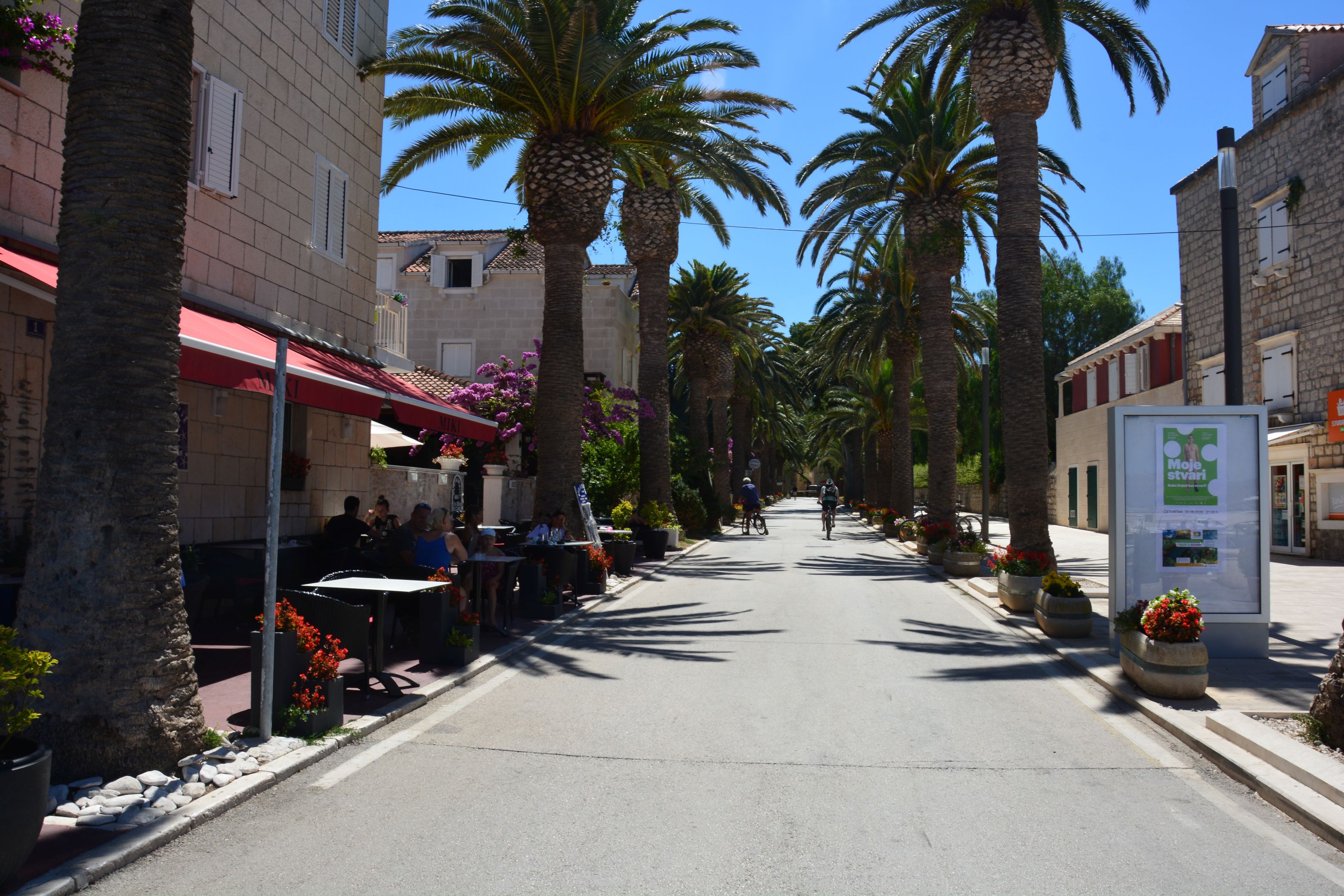 DSC_5645.JPG