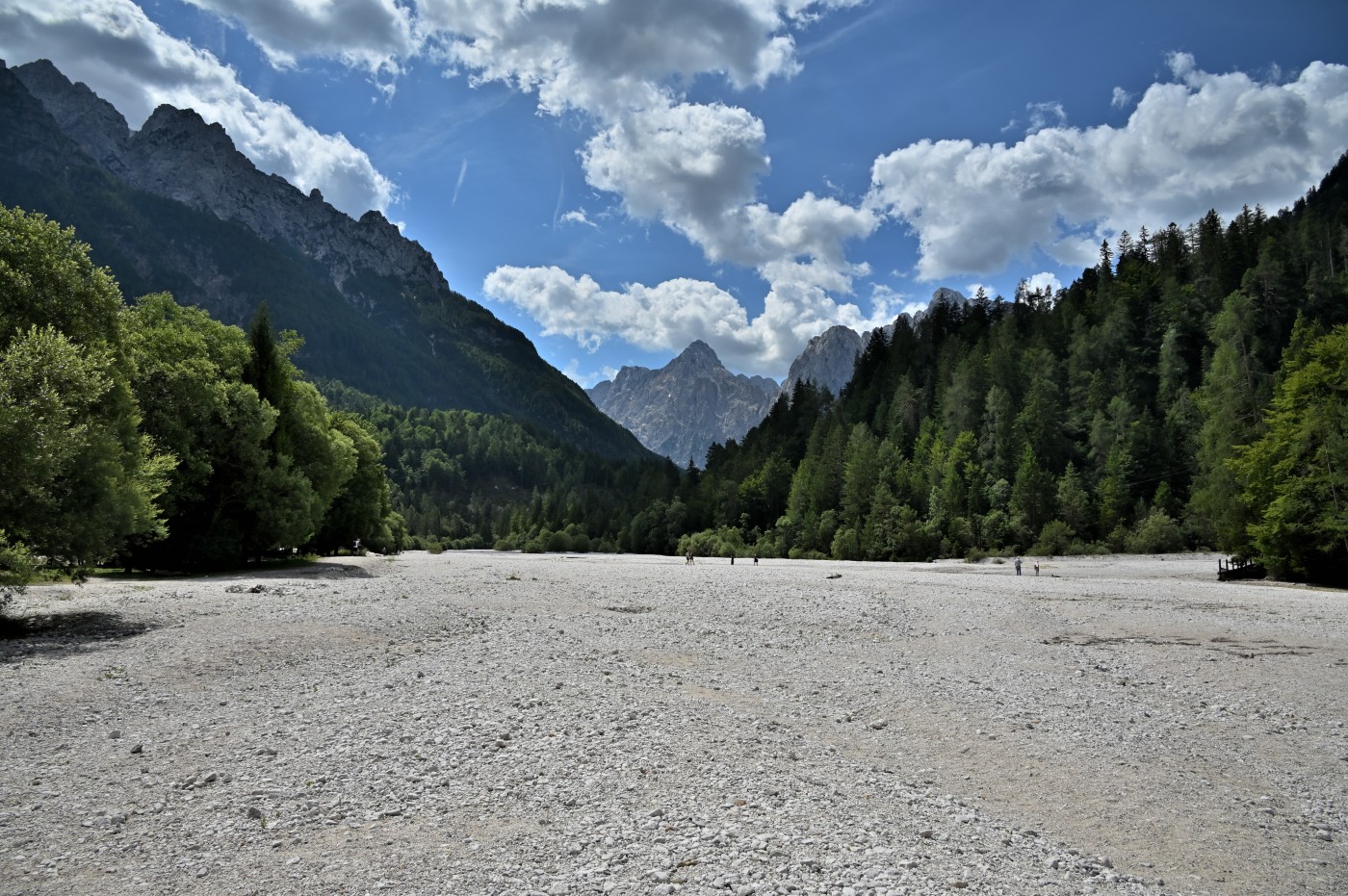 DSC_0580_00347.jpg
