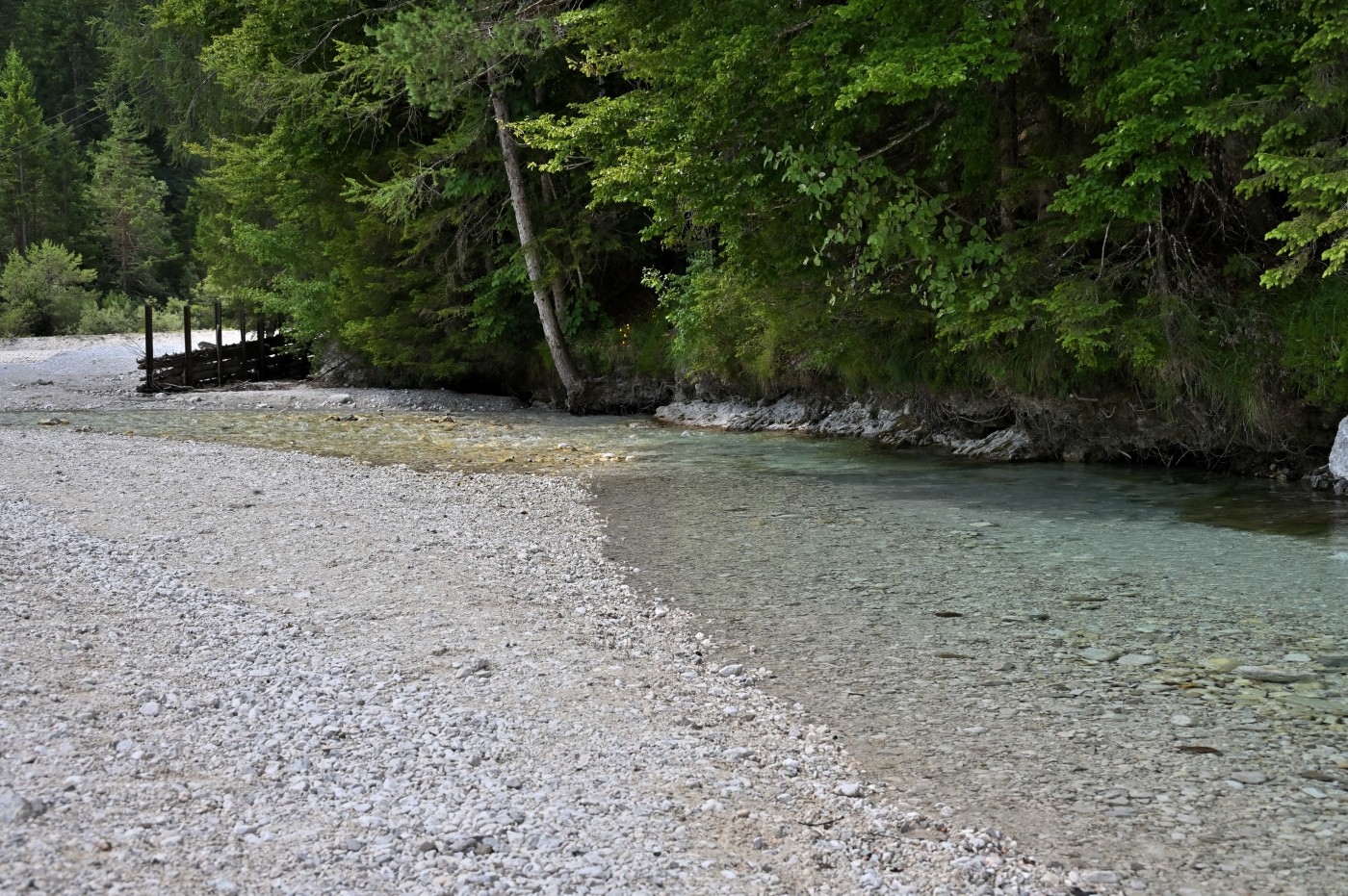 DSC_0583_00350.jpg