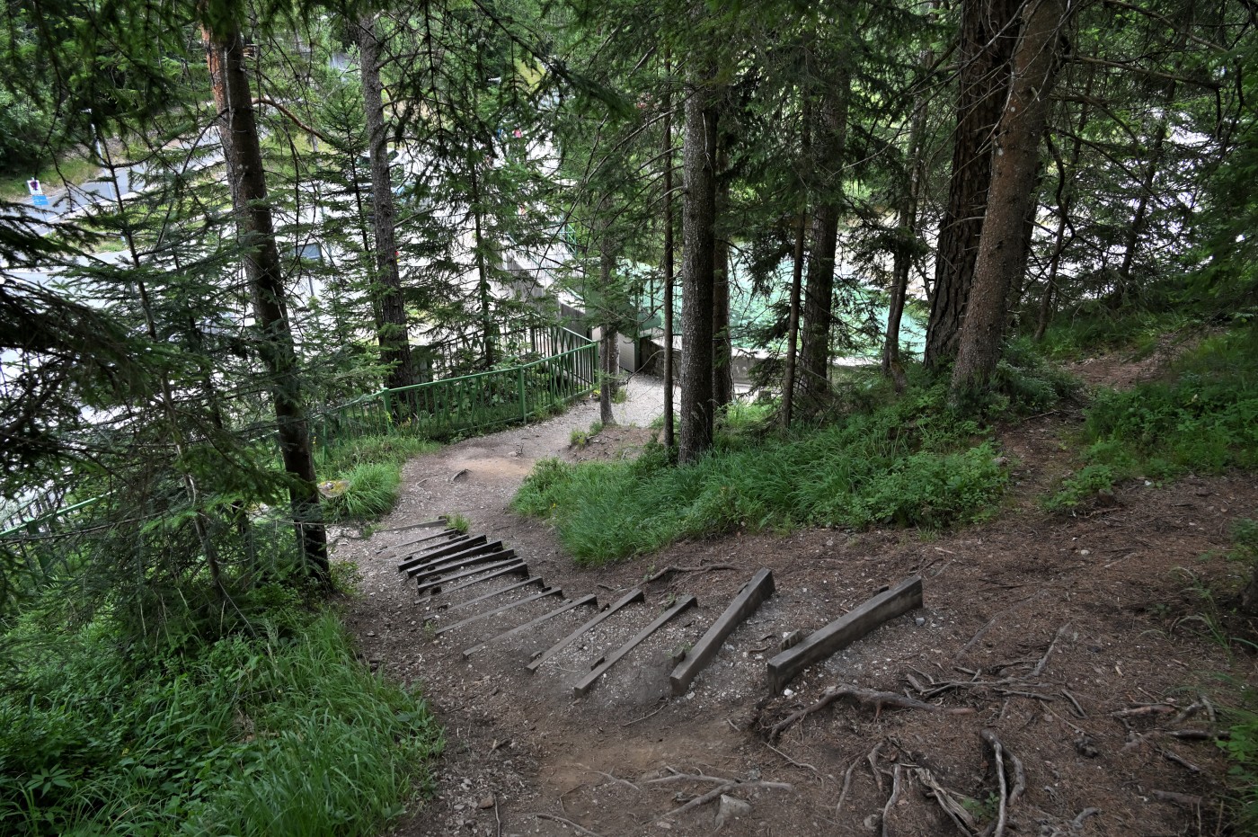 DSC_0584_00351.jpg