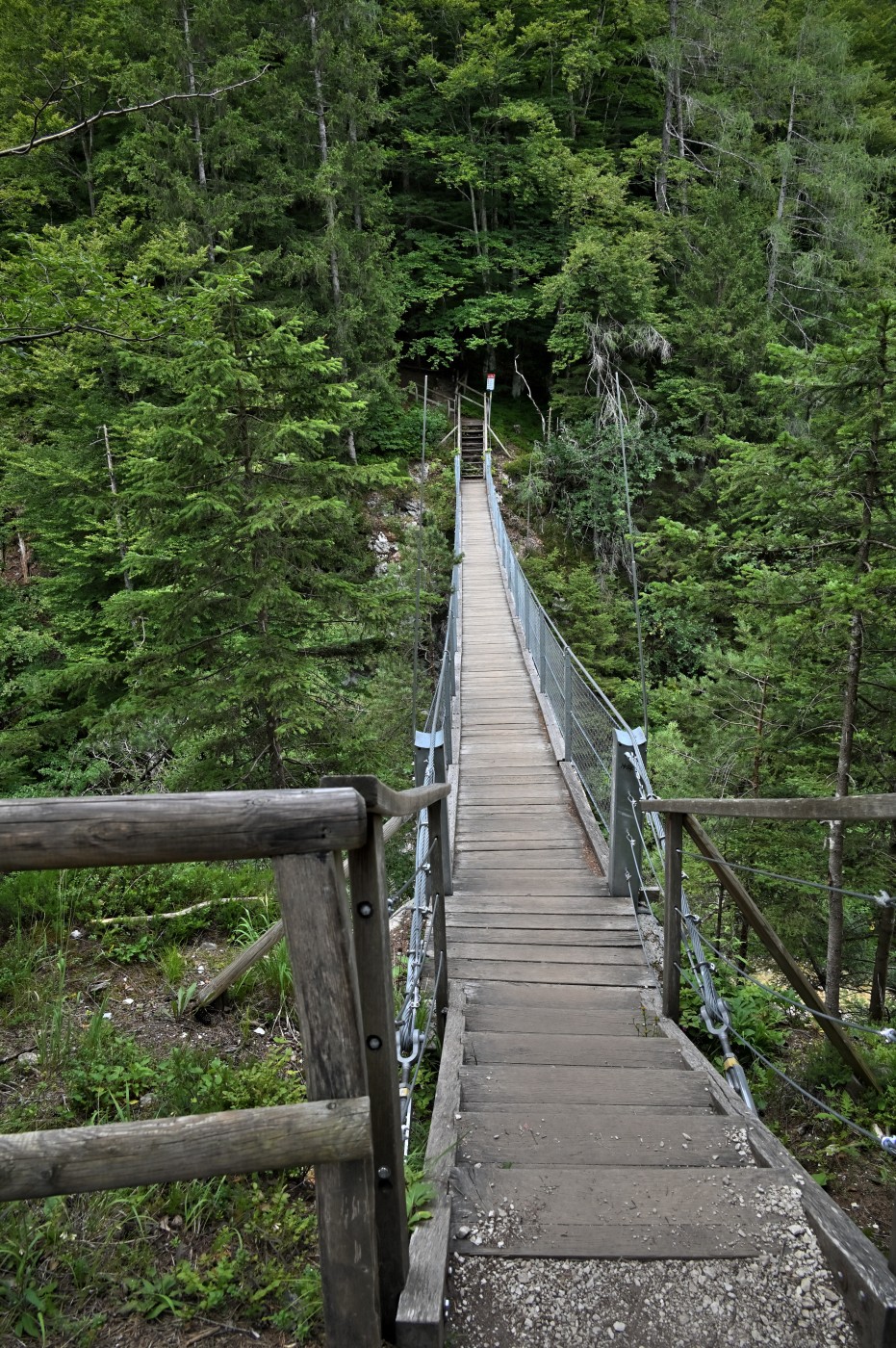 DSC_0587_00354.jpg