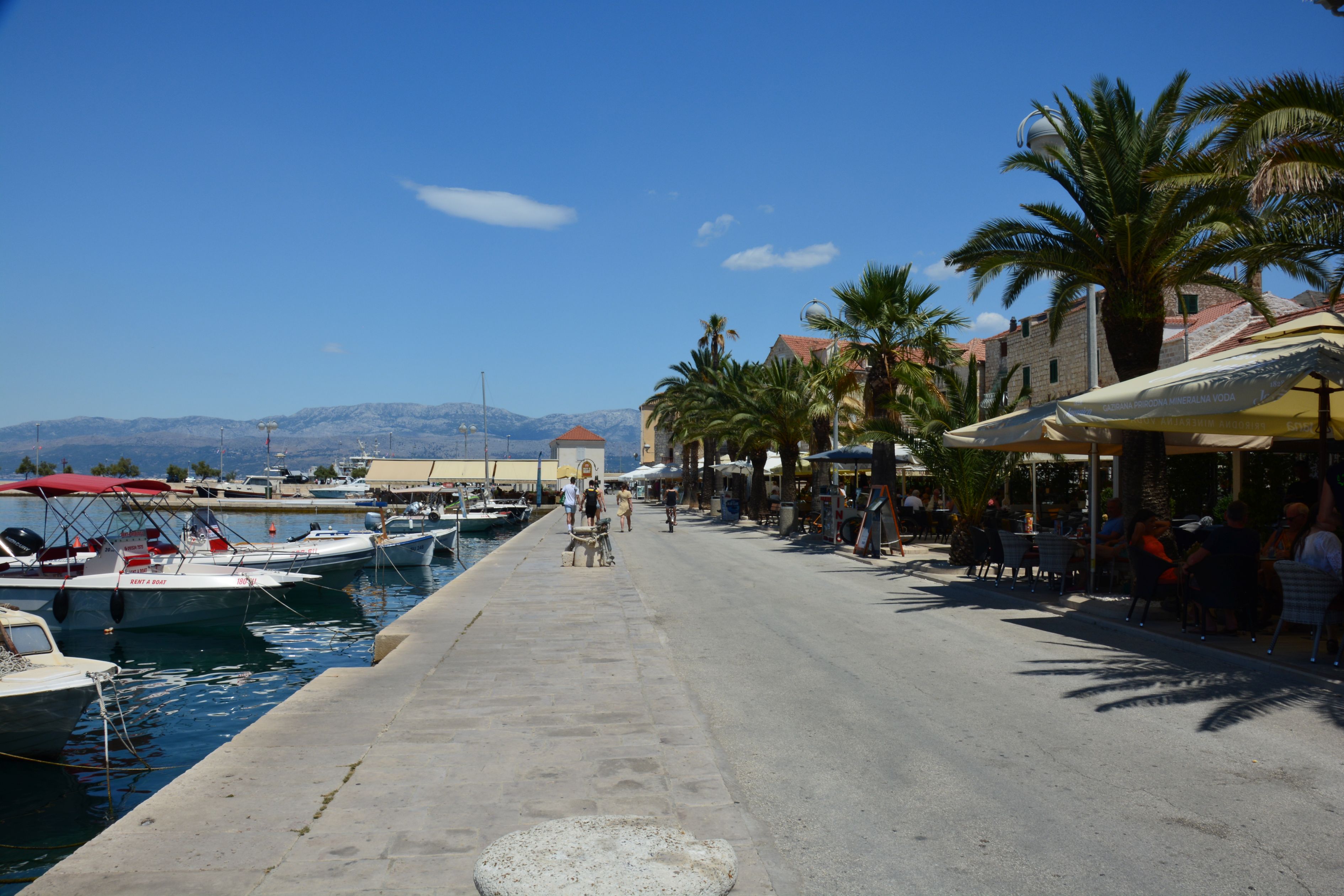 DSC_6071.JPG