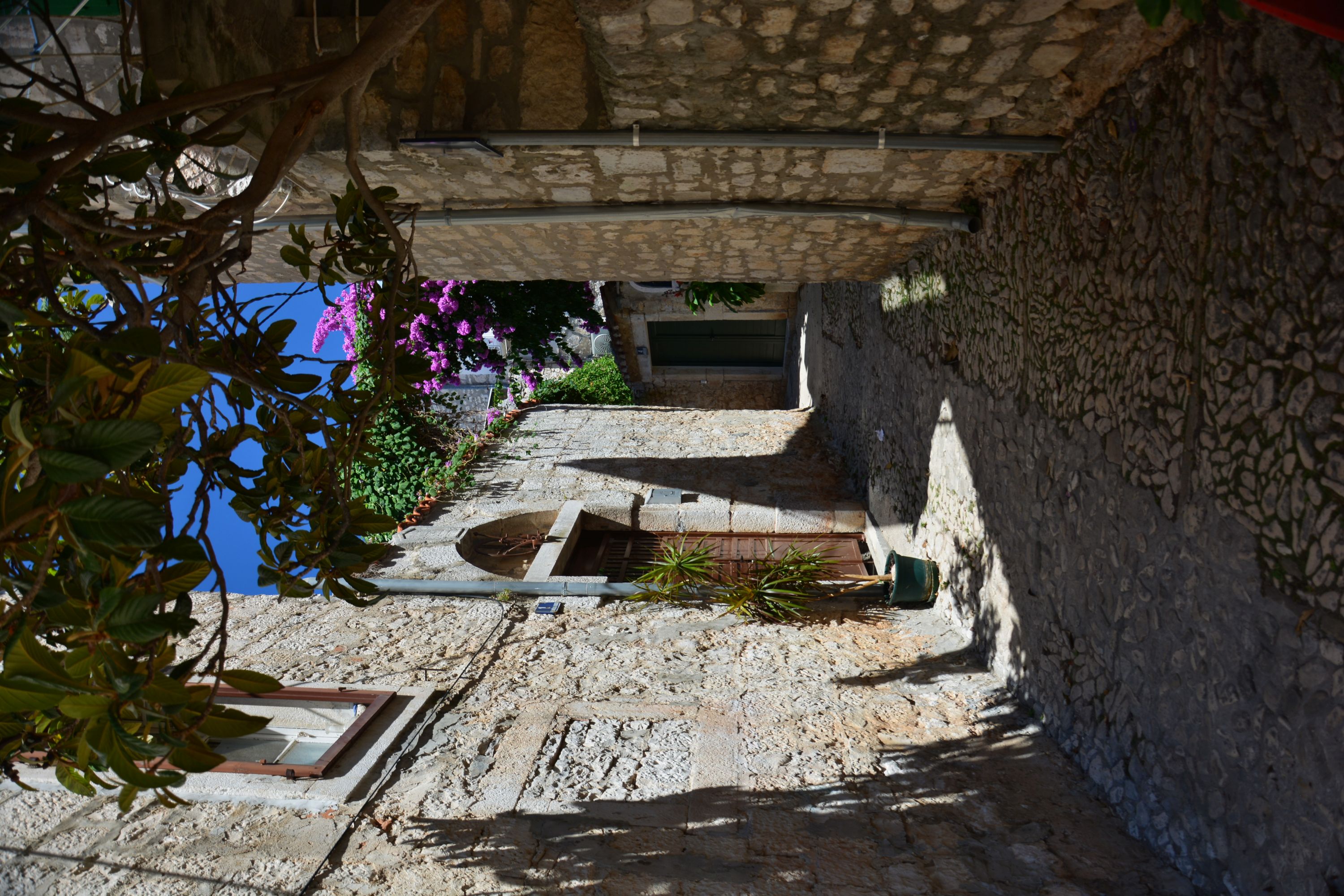 DSC_6082.JPG