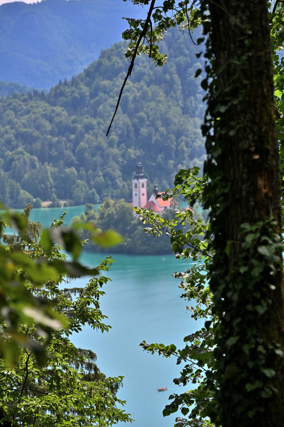 DSC_0600_00366.jpg