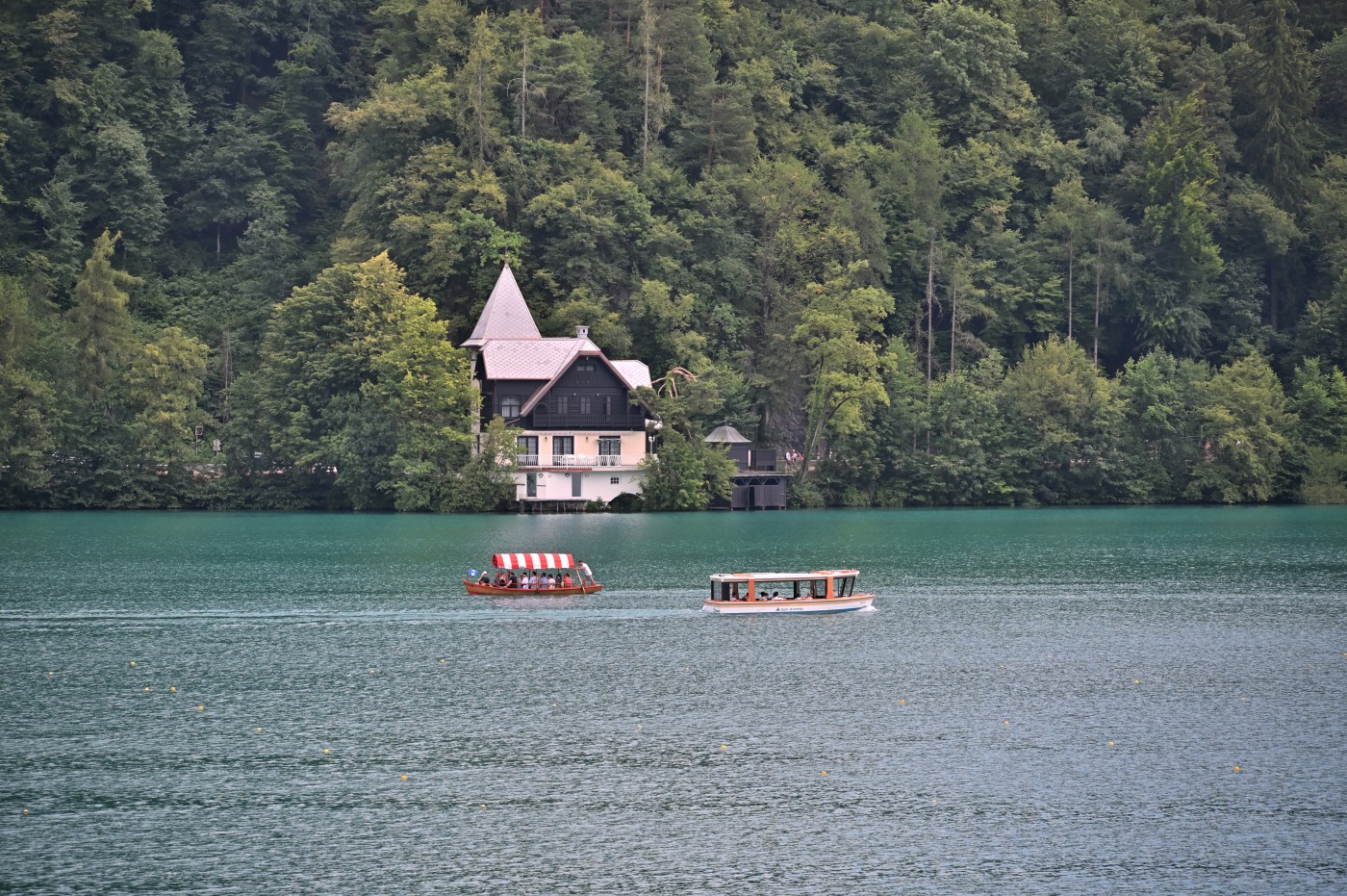 DSC_0606_00372.jpg