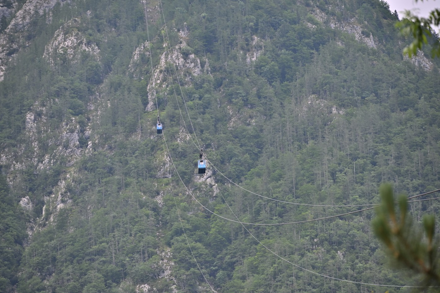 DSC_0609_00375.jpg