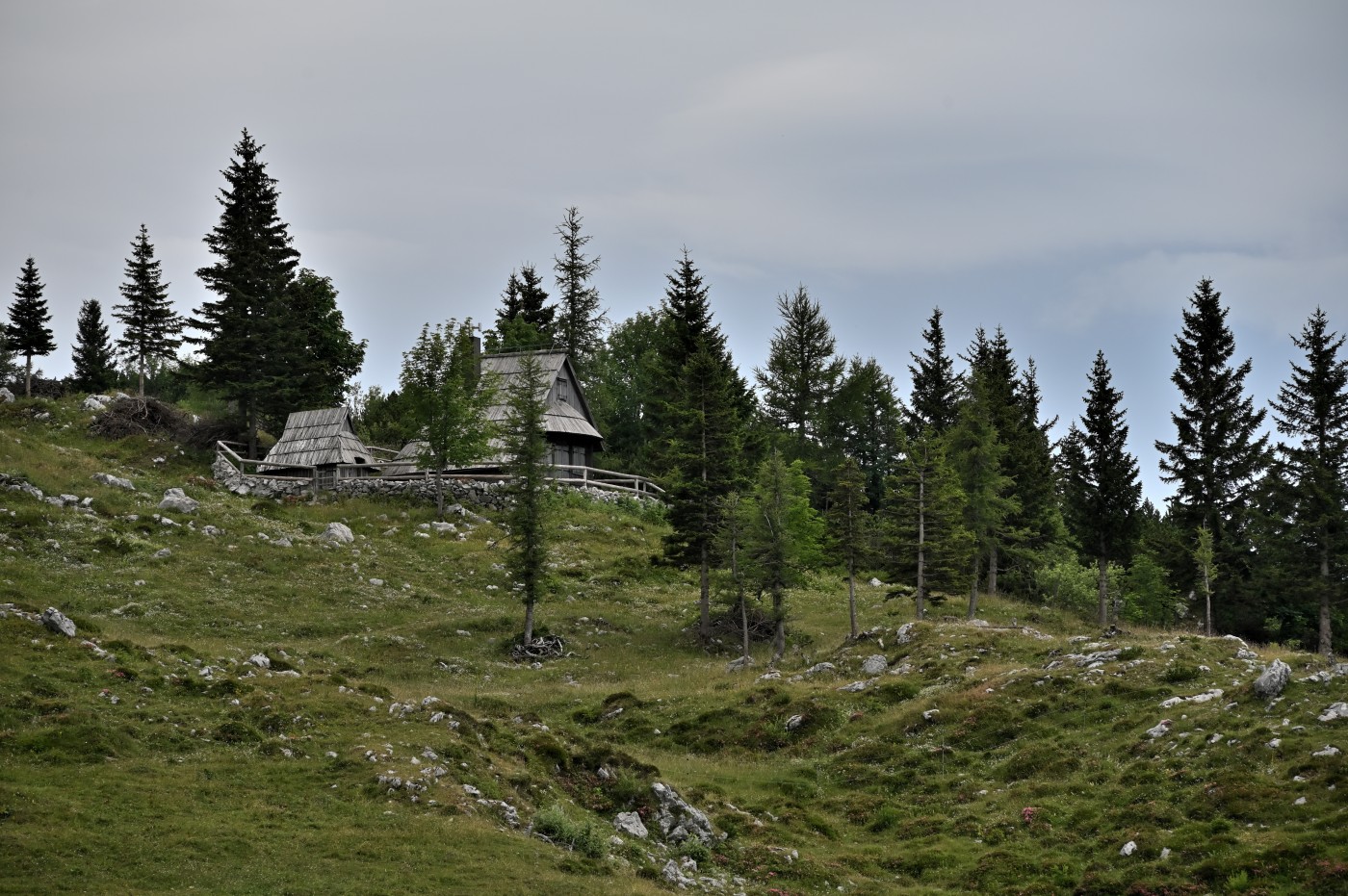 DSC_0640_00402.jpg