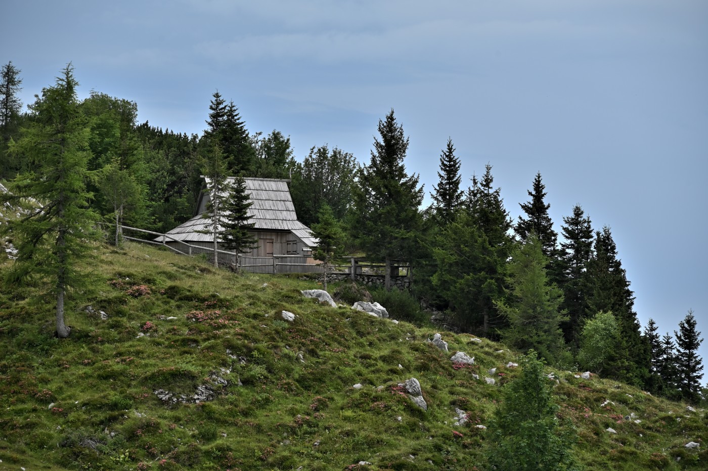 DSC_0641_00403.jpg