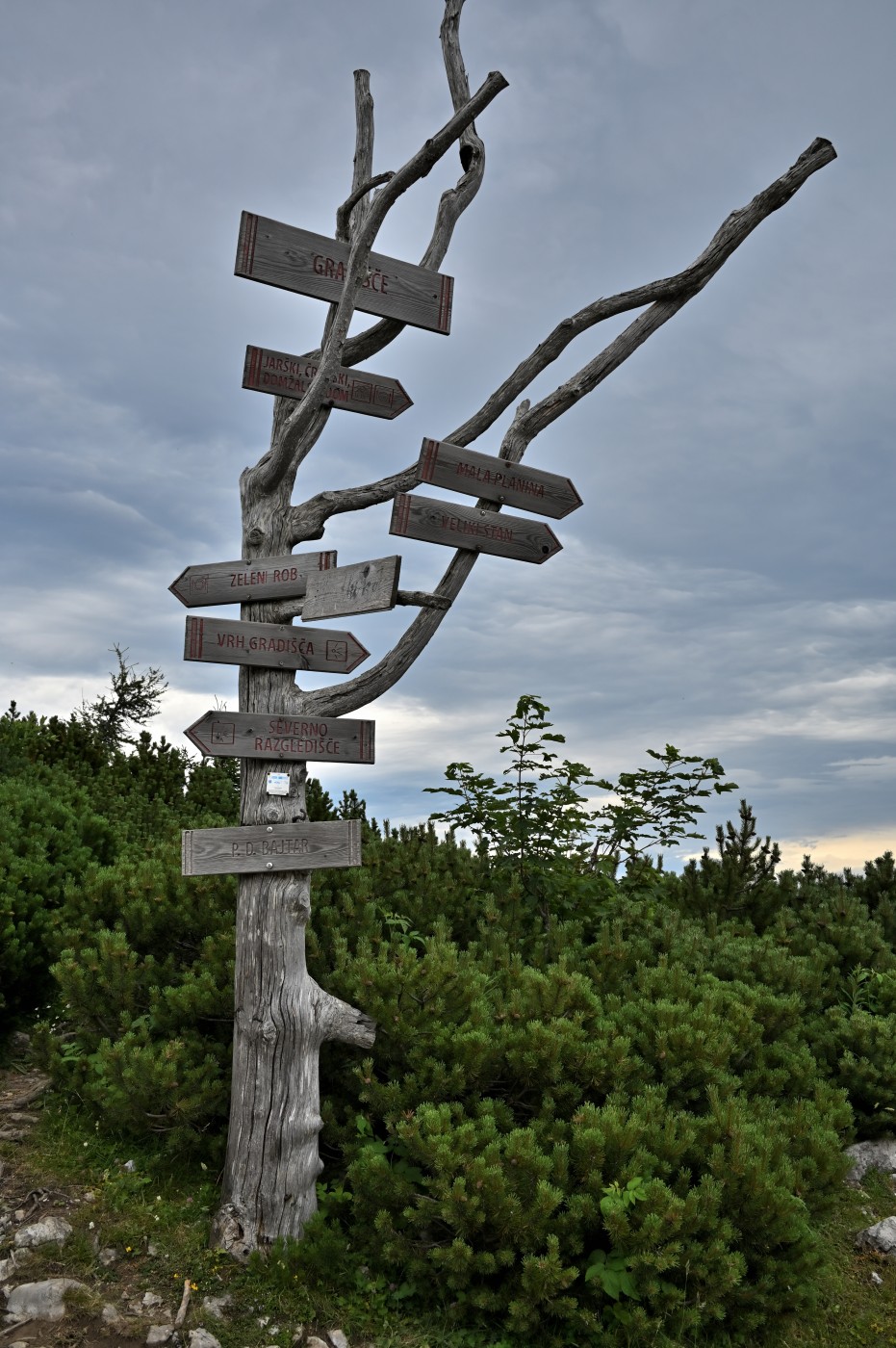 DSC_0644_00406.jpg