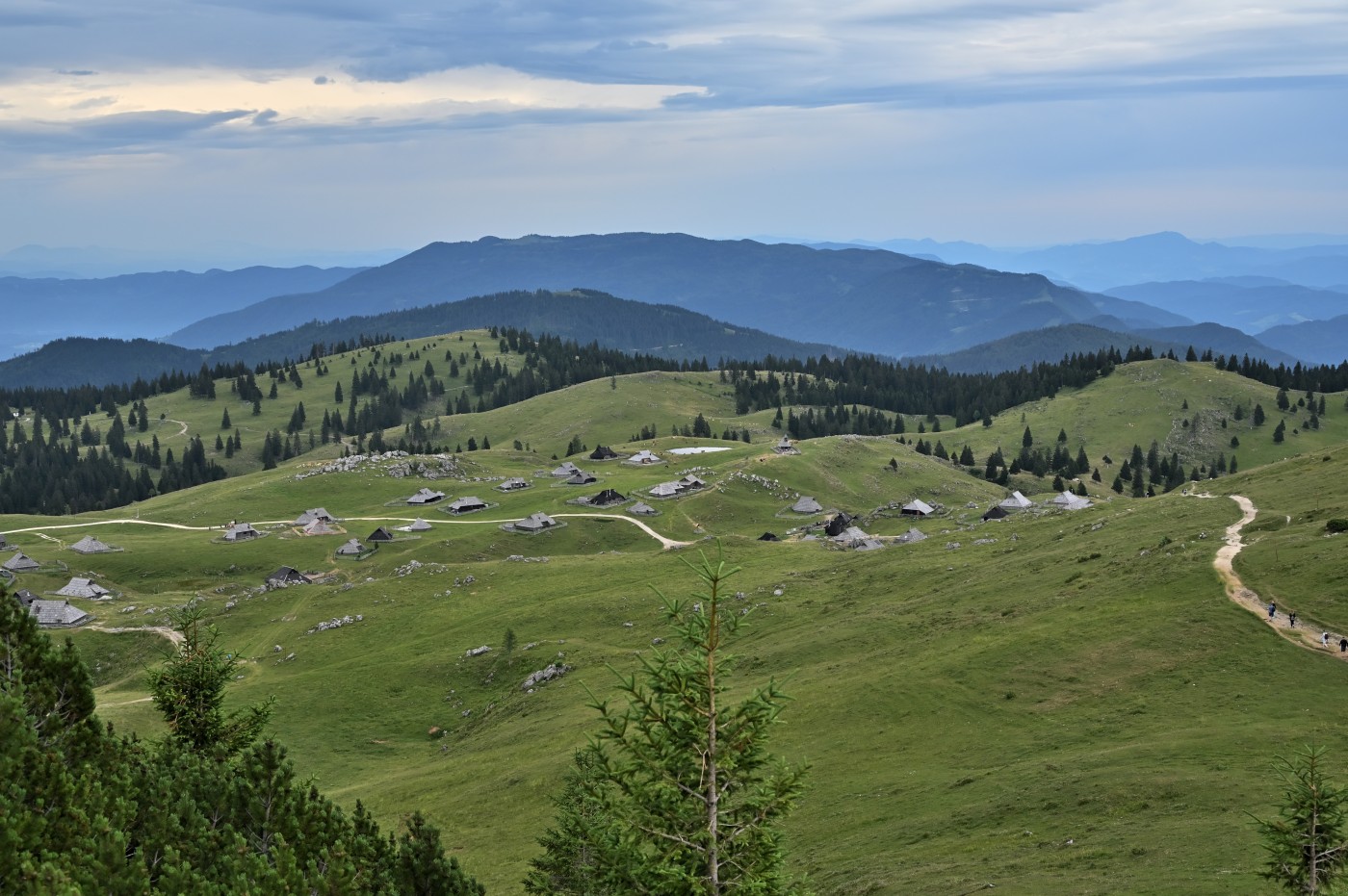 DSC_0648_00410.jpg