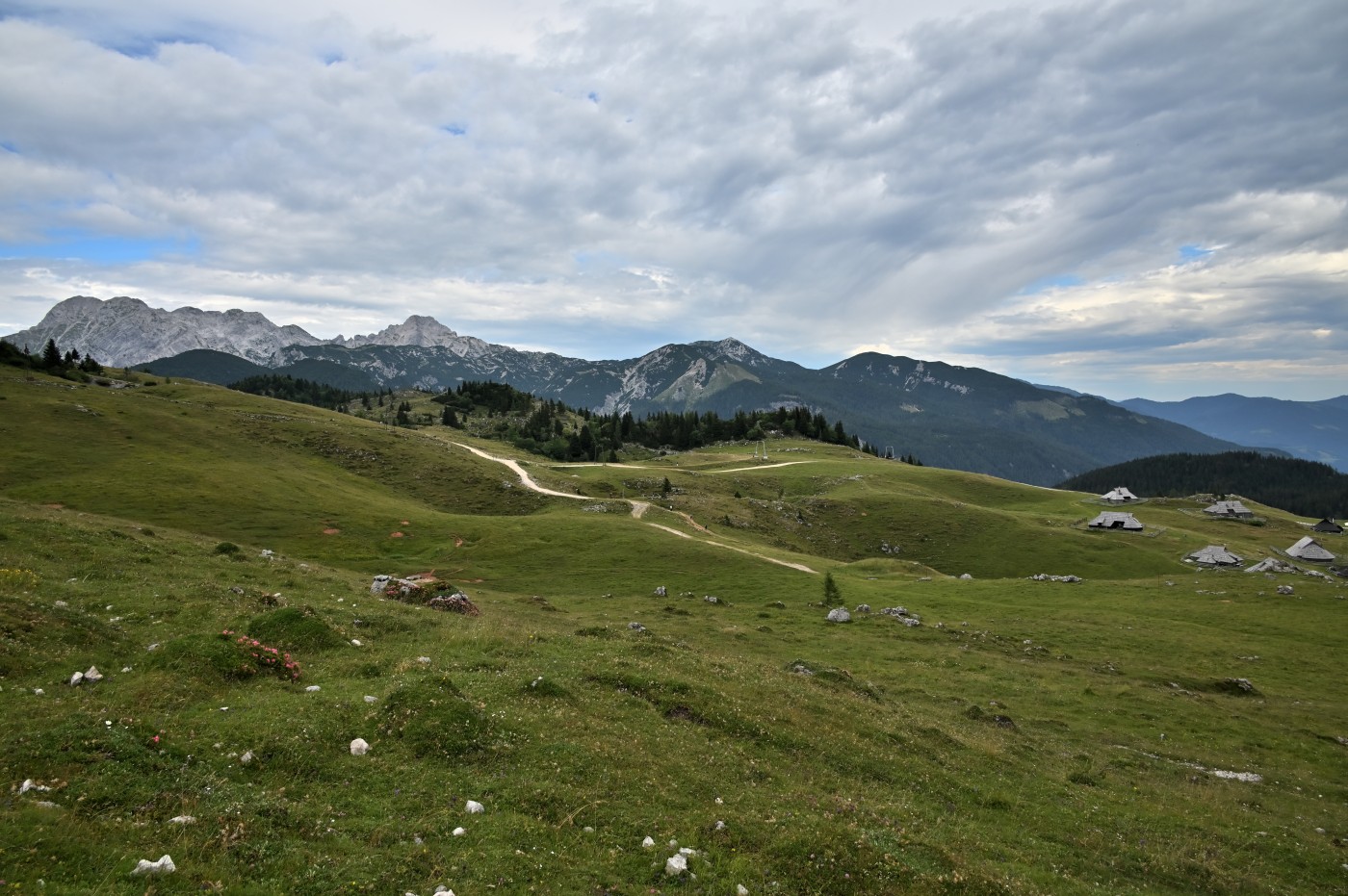 DSC_0664_00426.jpg