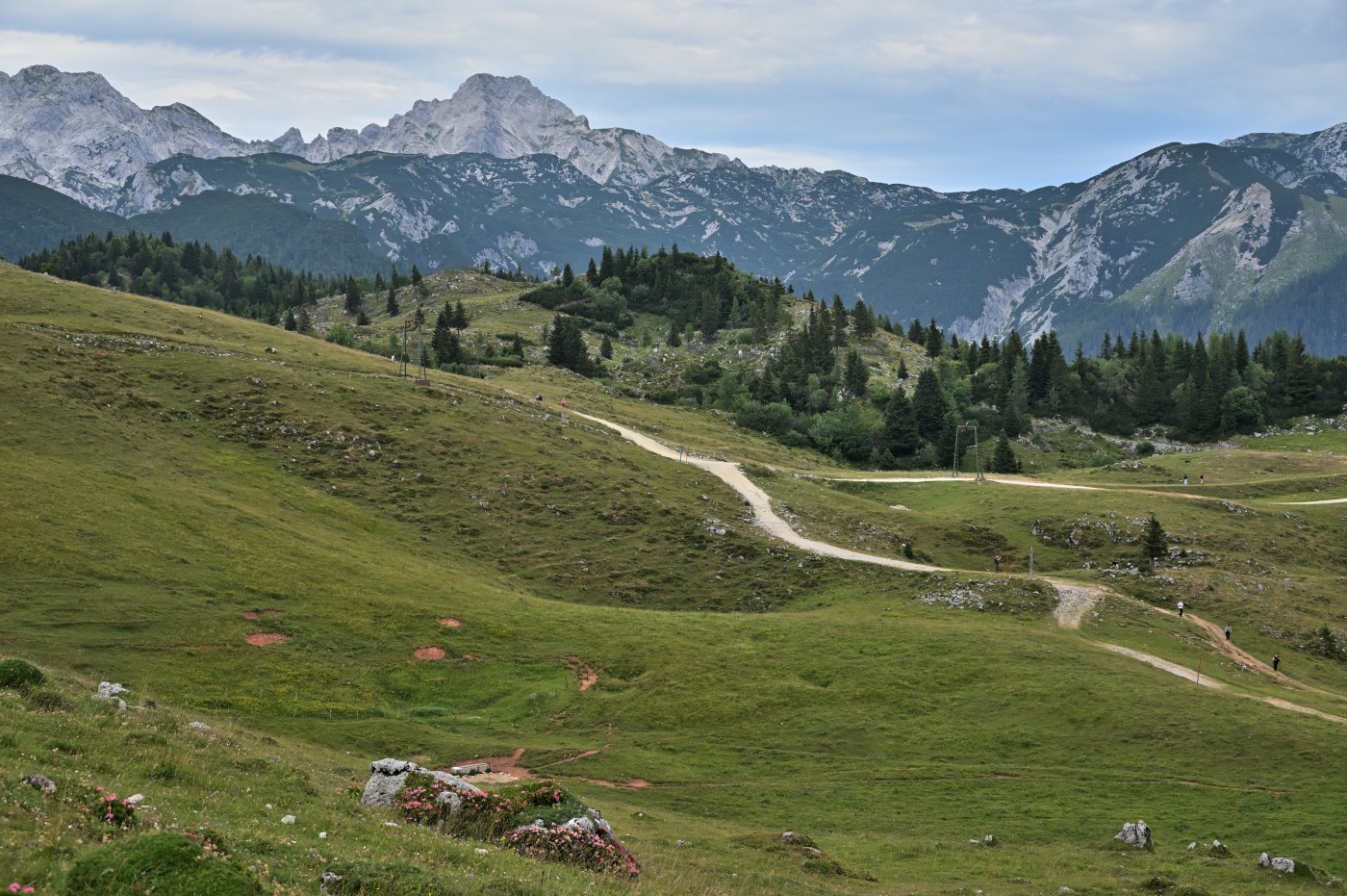 DSC_0665_00427.jpg