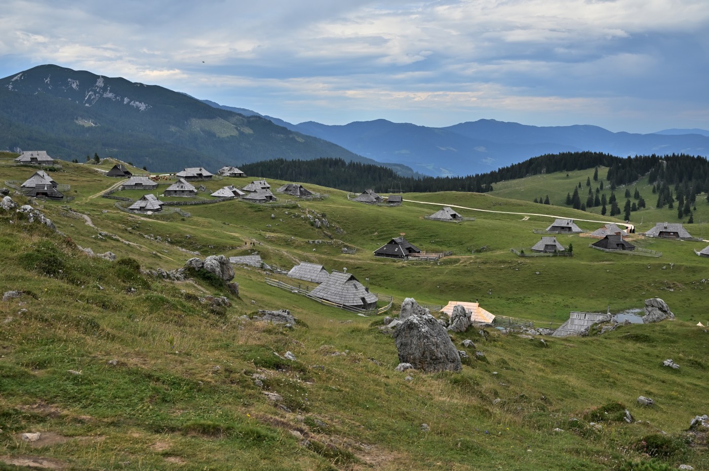 DSC_0666_00428.jpg