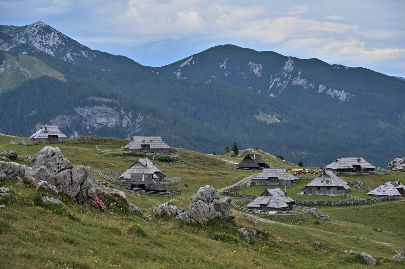 DSC_0668_00430.jpg