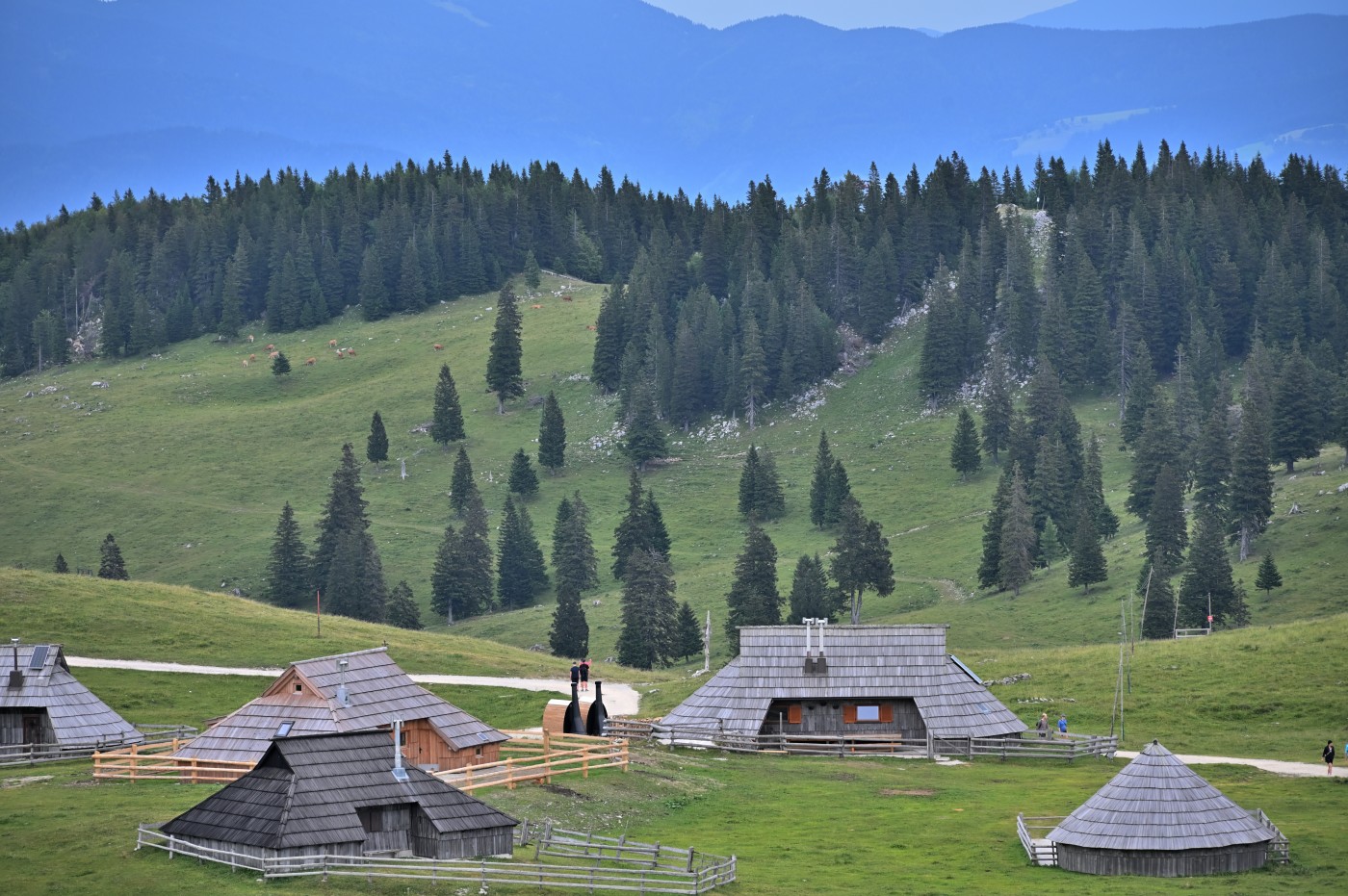 DSC_0670_00432.jpg
