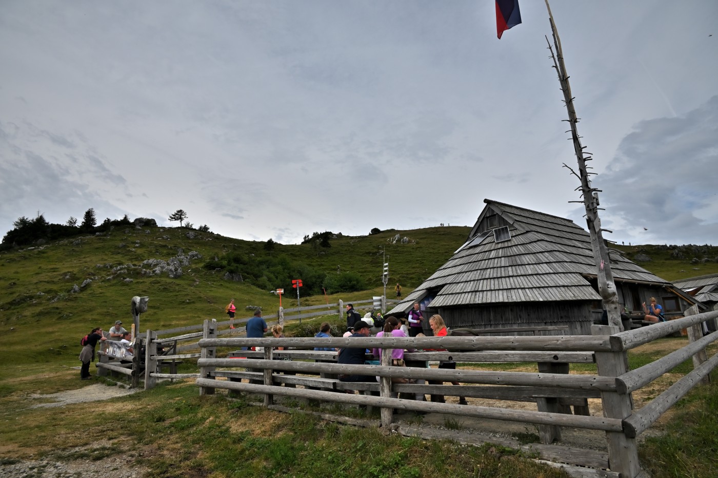 DSC_0677_00439.jpg