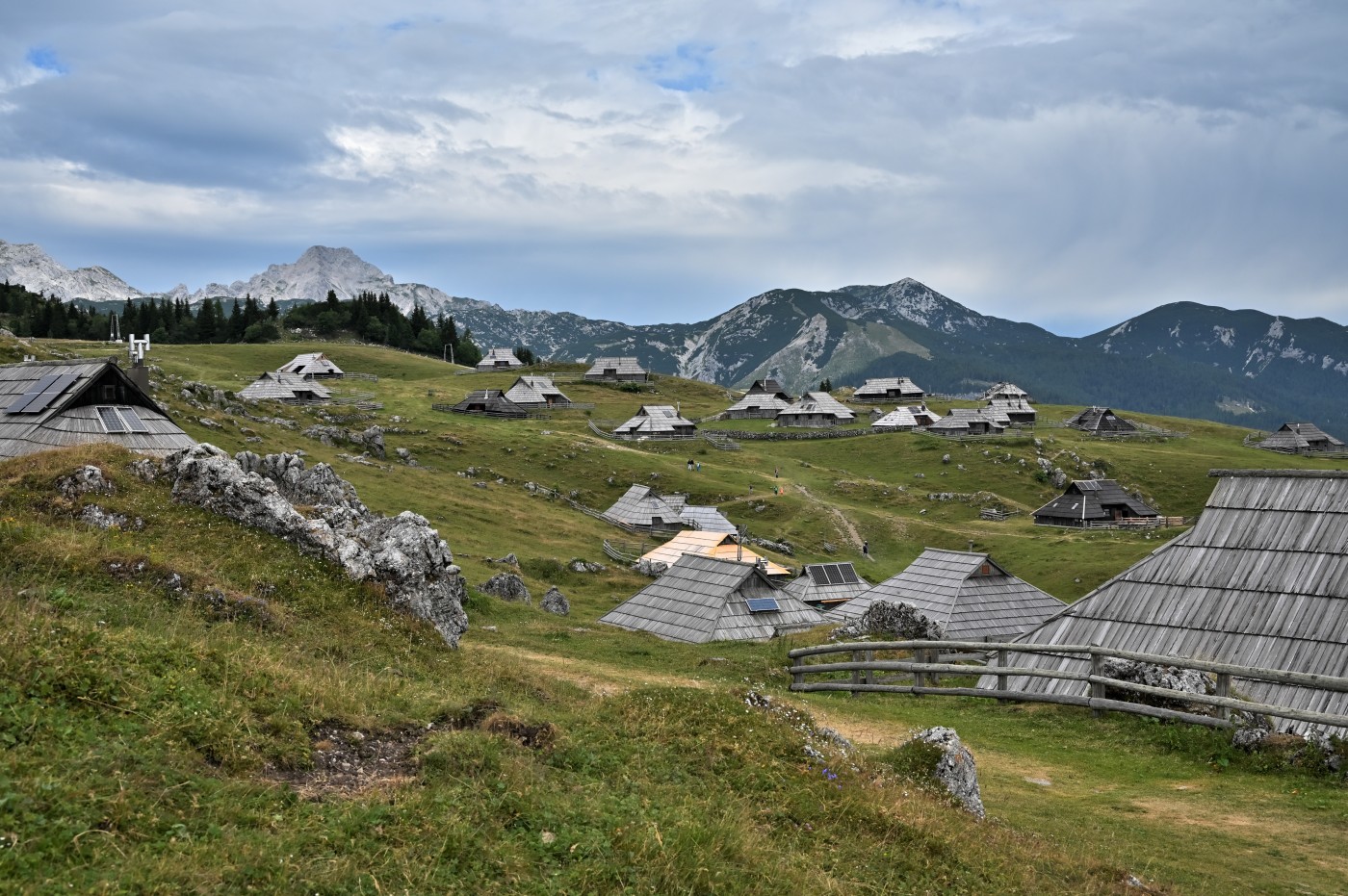 DSC_0679_00441.jpg