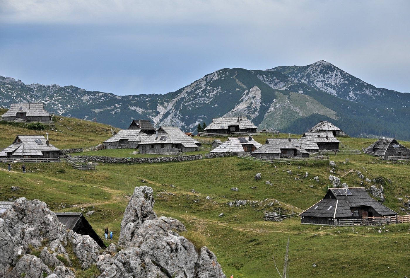 DSC_0681_00443.jpg