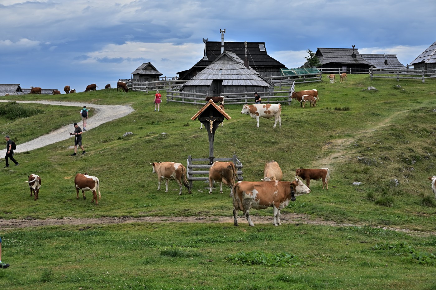 DSC_0682_00444.jpg